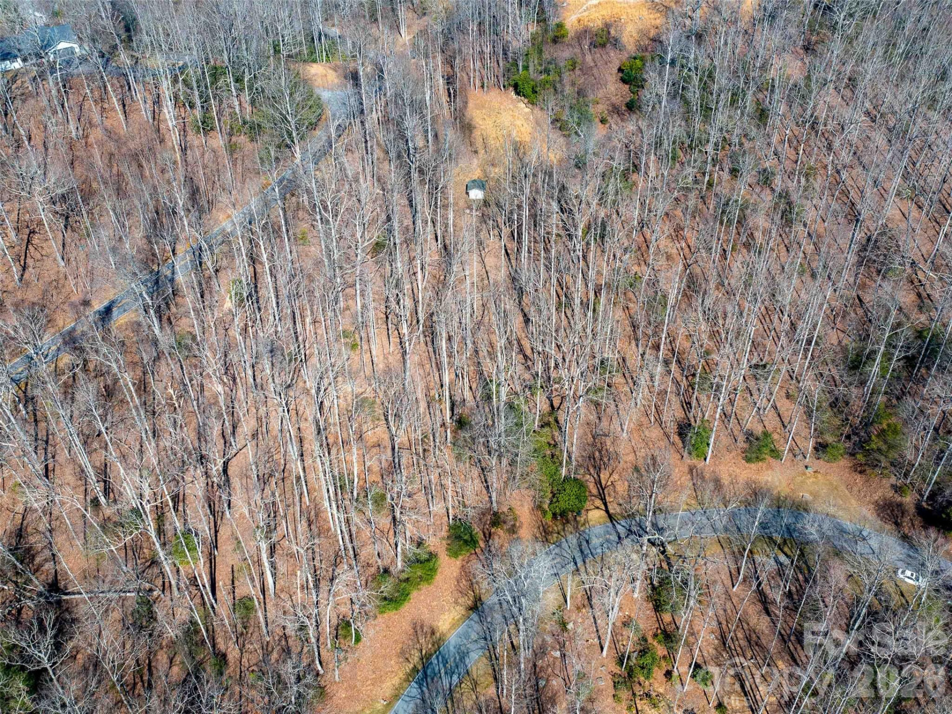 00 Chattooga Run #292R - Photo 12