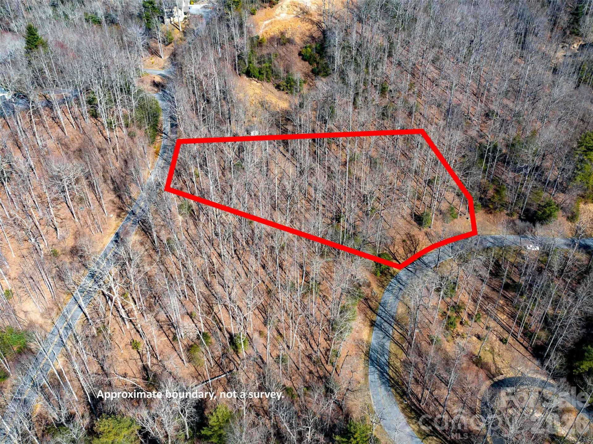 00 Chattooga Run #292R - Photo 13