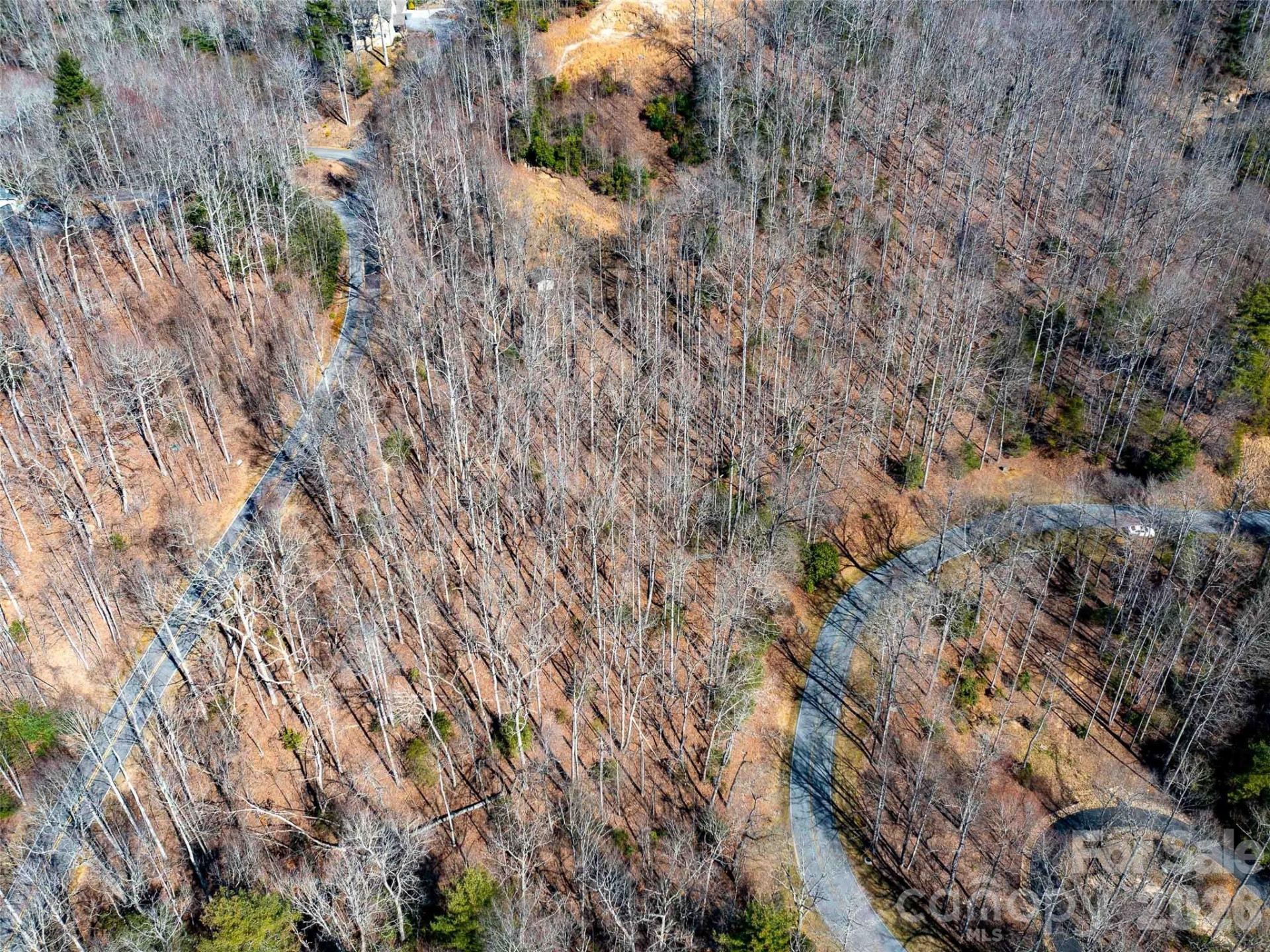00 Chattooga Run #292R - Photo 14