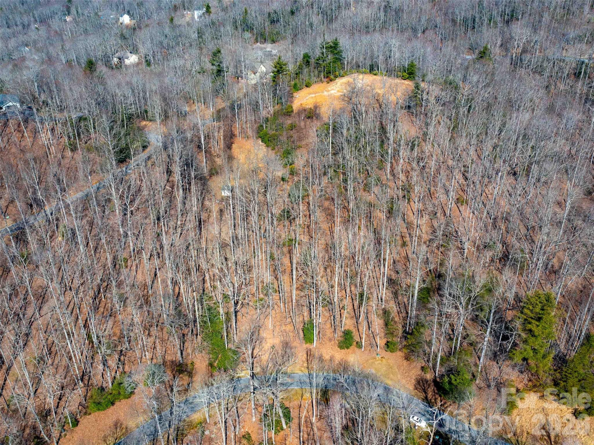 00 Chattooga Run #292R - Photo 20
