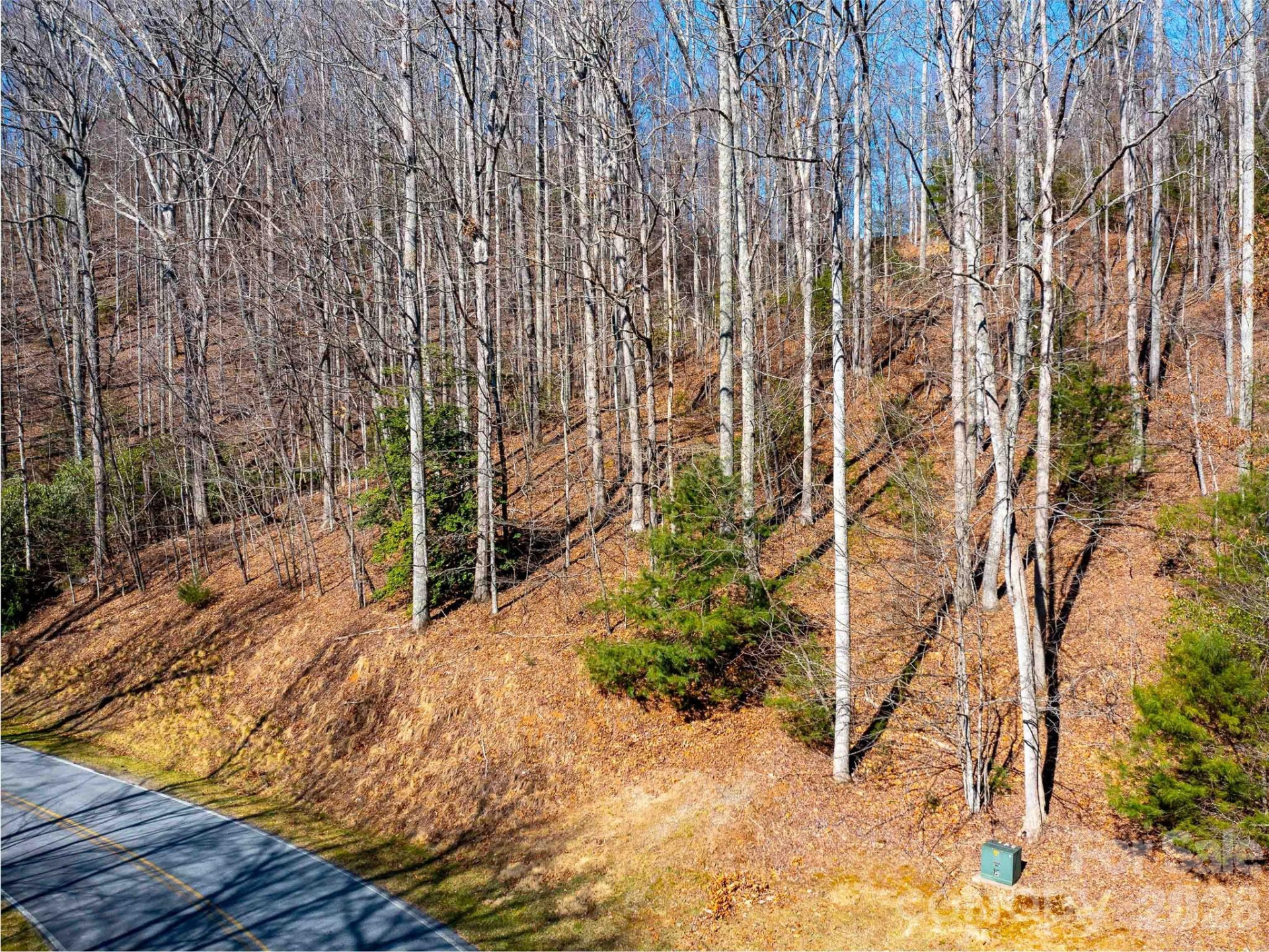 00 Chattooga Run #292R - Photo 4