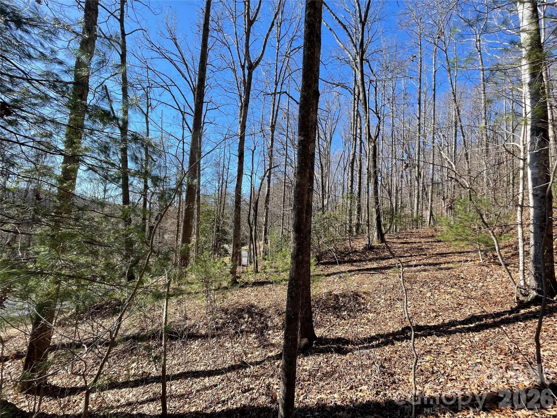 00 Chattooga Run #292R - Photo 5