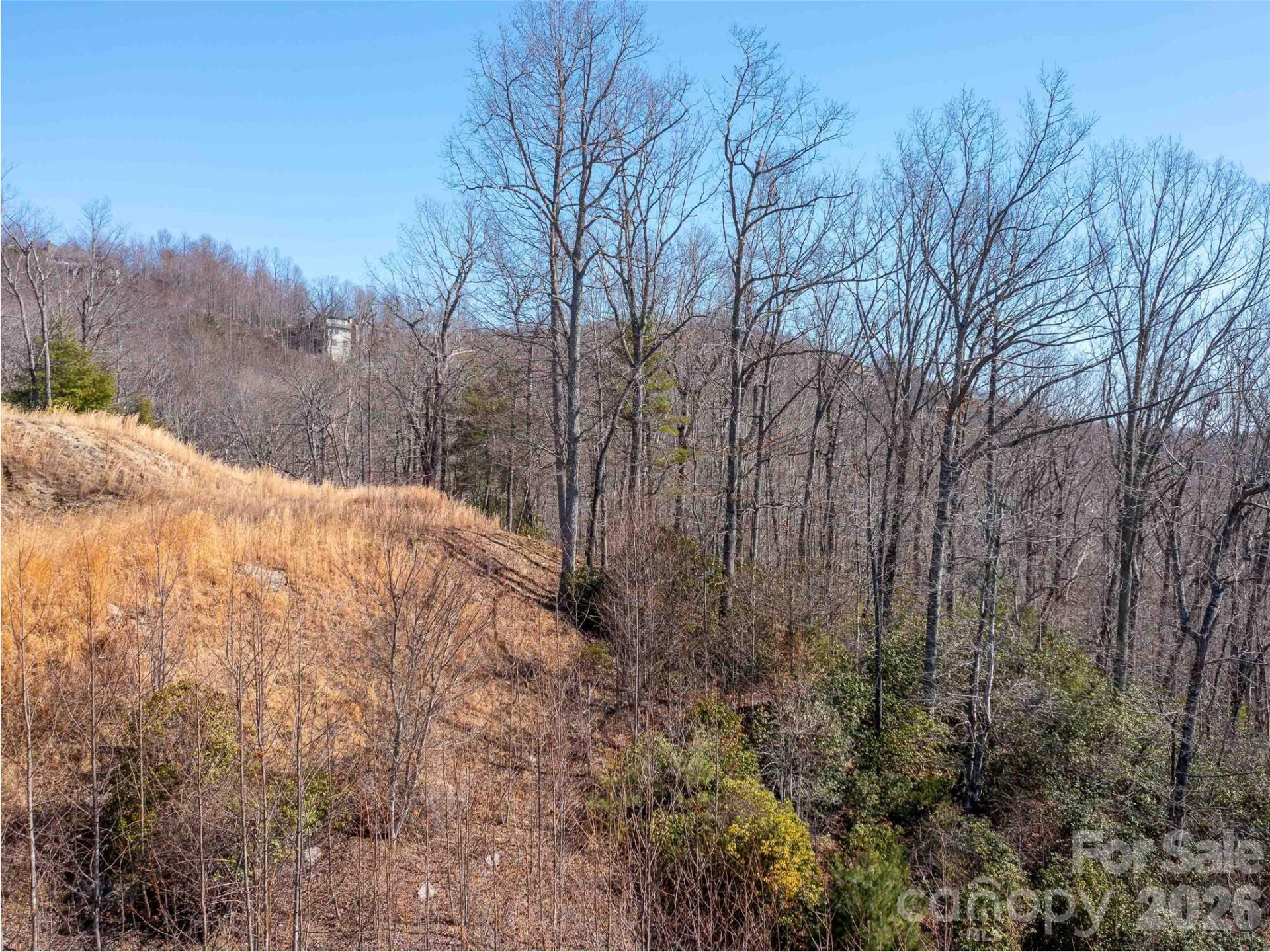 00 Chattooga Run #292R - Photo 7