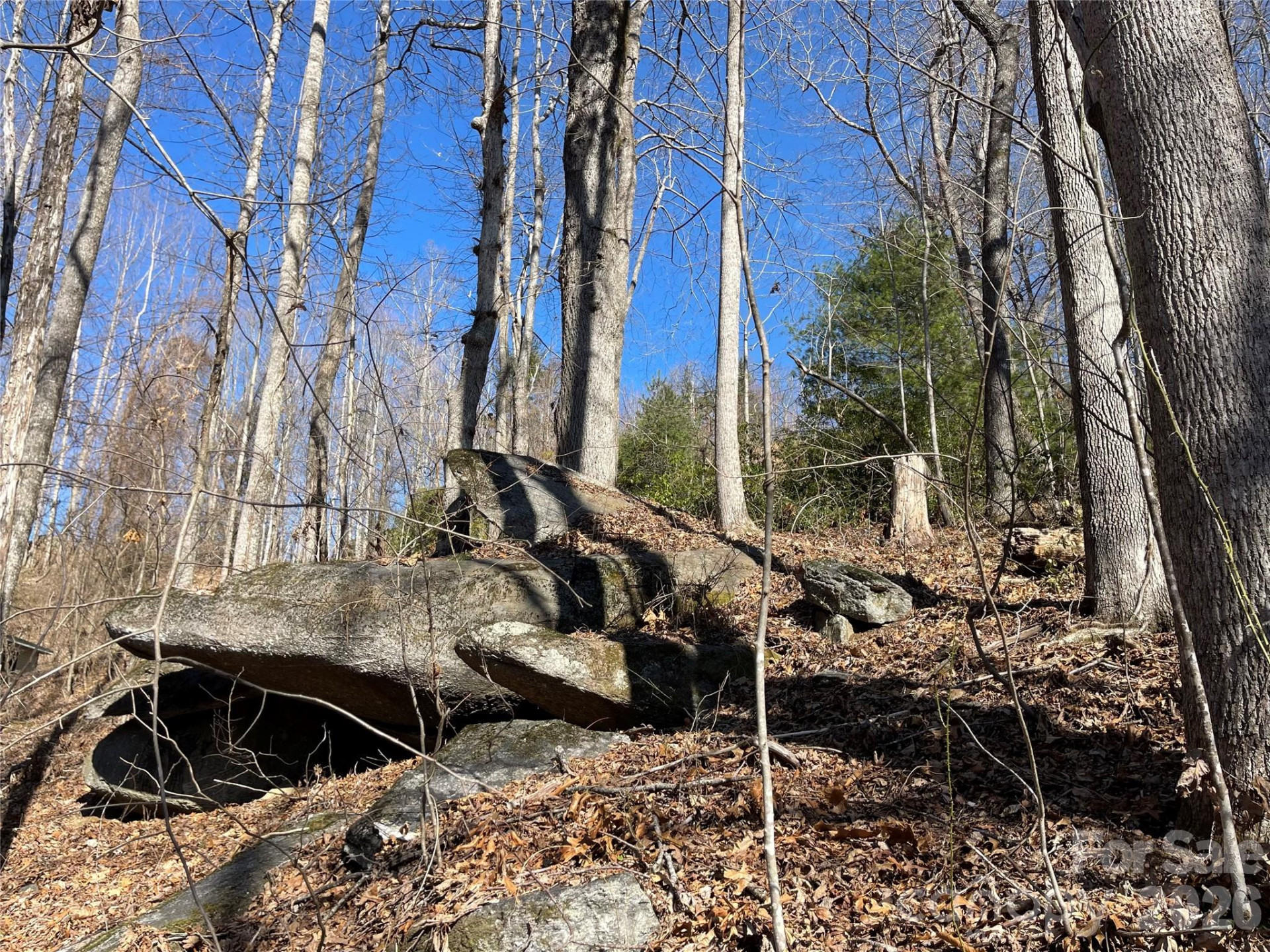 00 Chattooga Run #292R - Photo 8