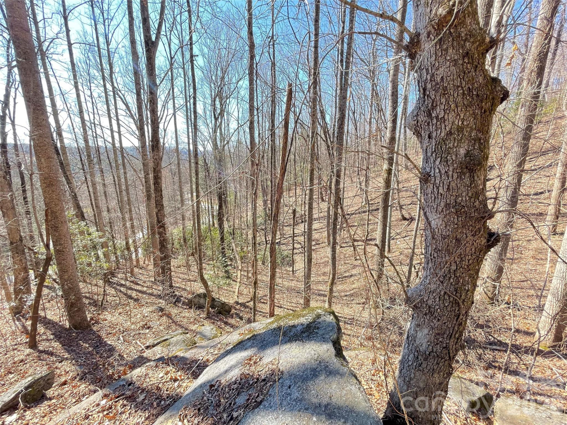 00 Chattooga Run #292R - Photo 9