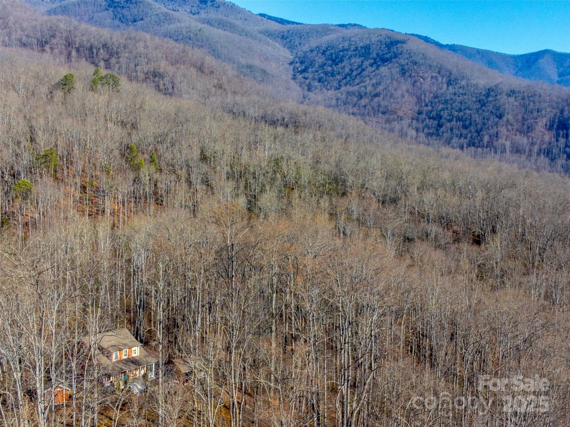 1226 Monteith Branch Road - Photo 4