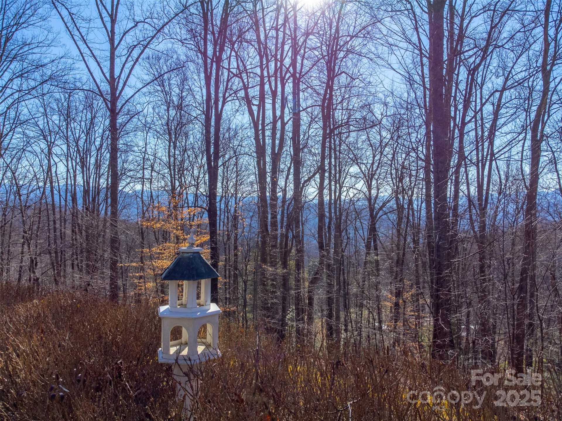 1226 Monteith Branch Road - Photo 6