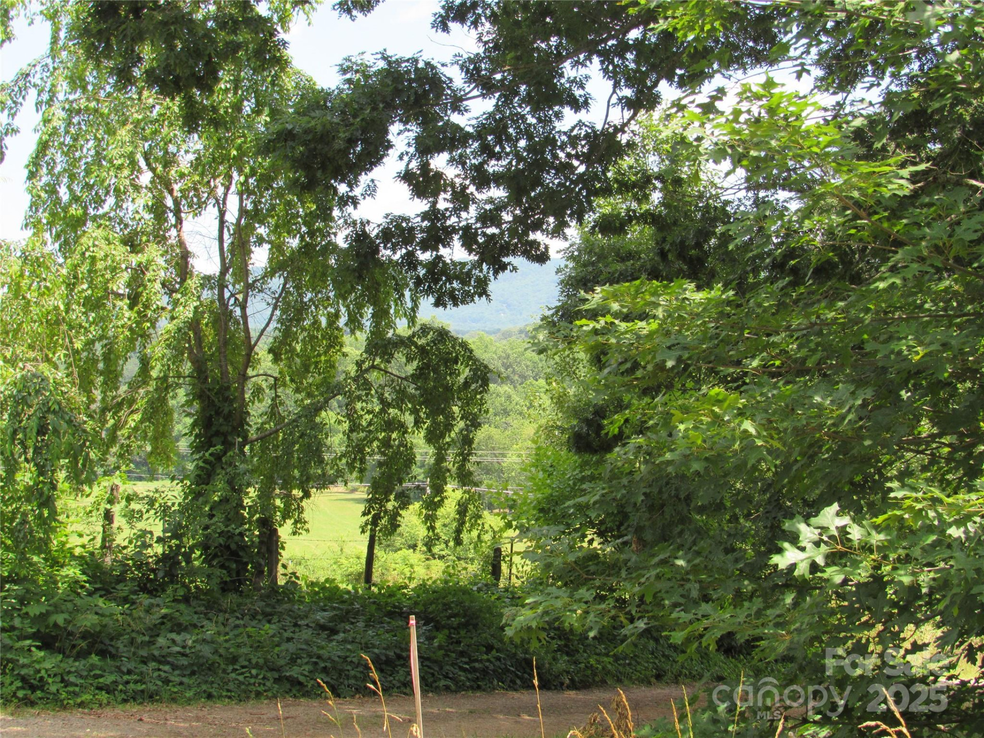 Lt#4 Mystic View Lane - Photo 2