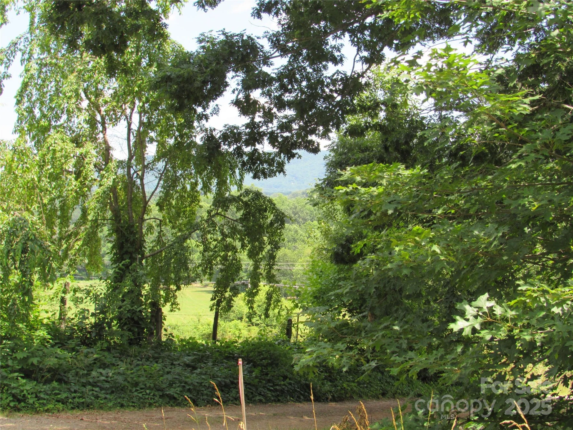 Lt#4 Mystic View Lane - Photo 2