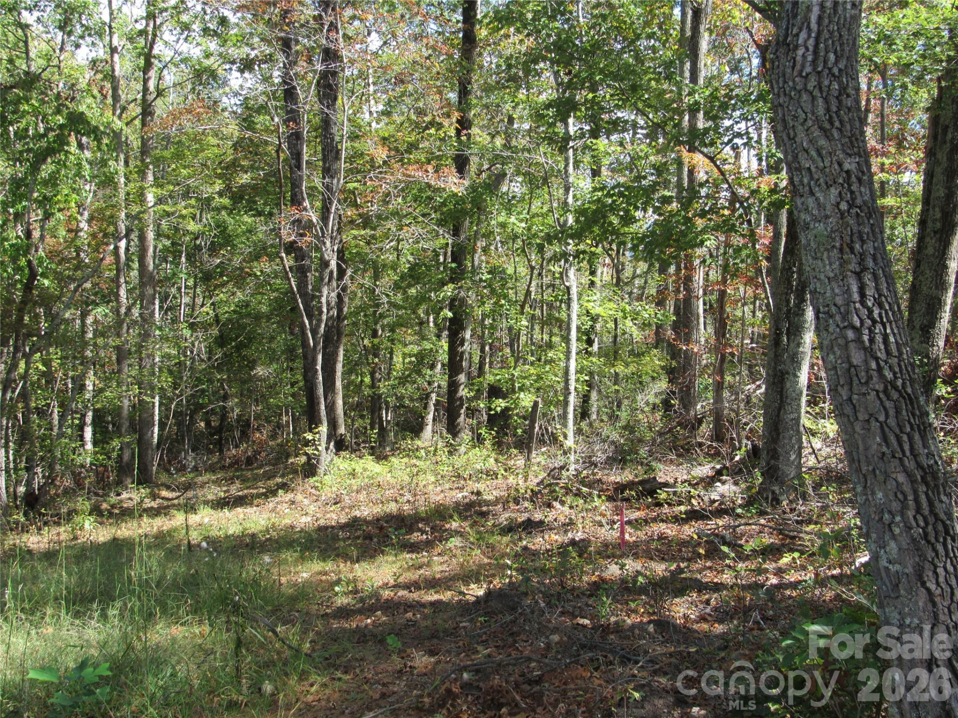 150 Summers Way - Photo 6