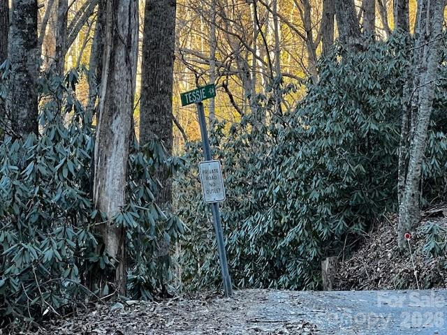 9999 Tessie Lane - Photo 3