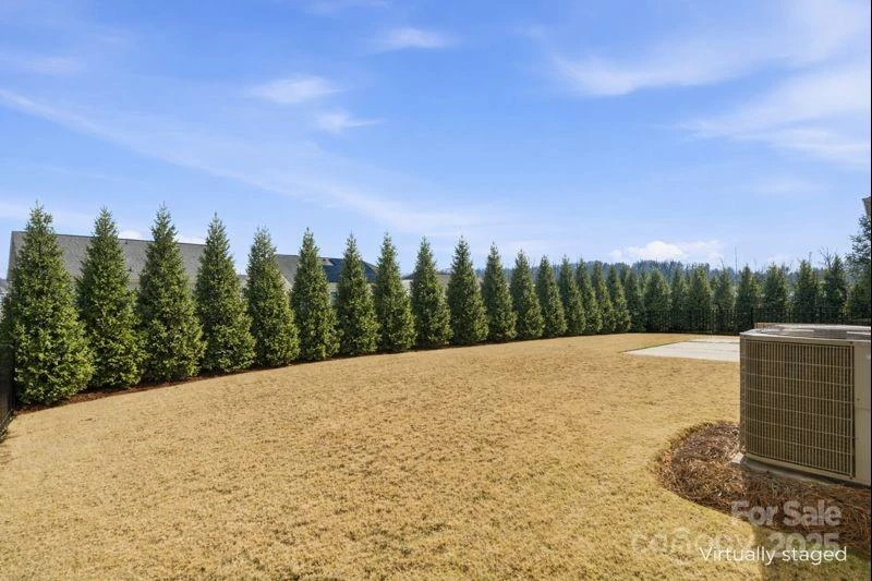 1005 Argentium Way - Photo 34
