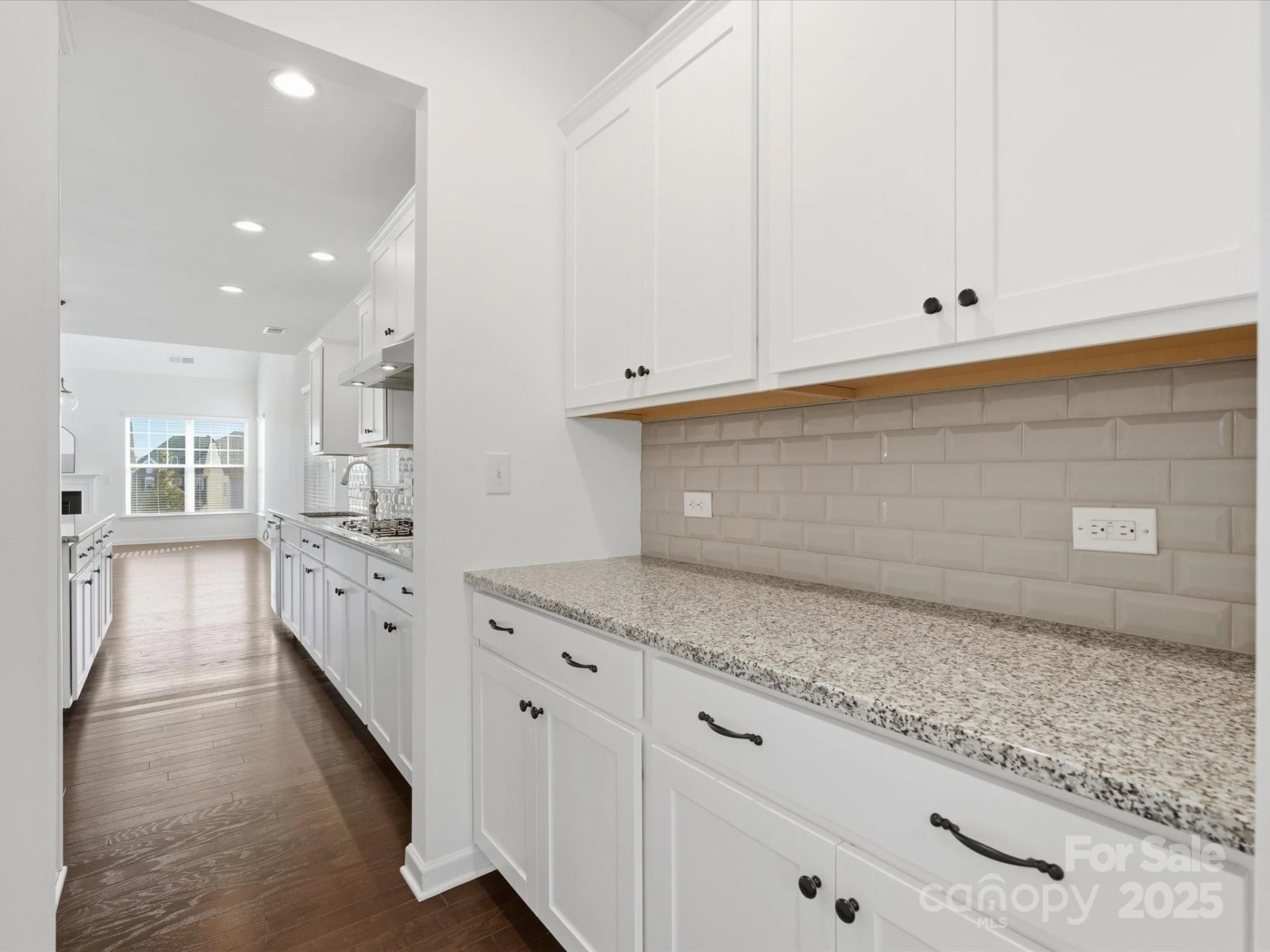 1005 Argentium Way - Photo 6