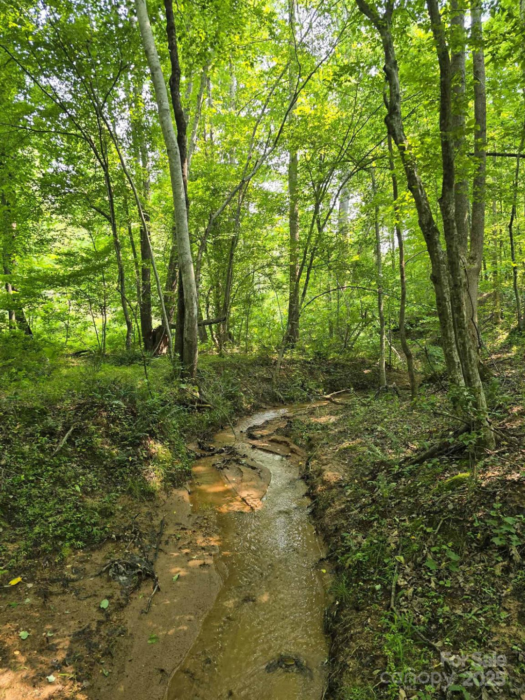 Lot 26 Grandview Drive #26 - Photo 5