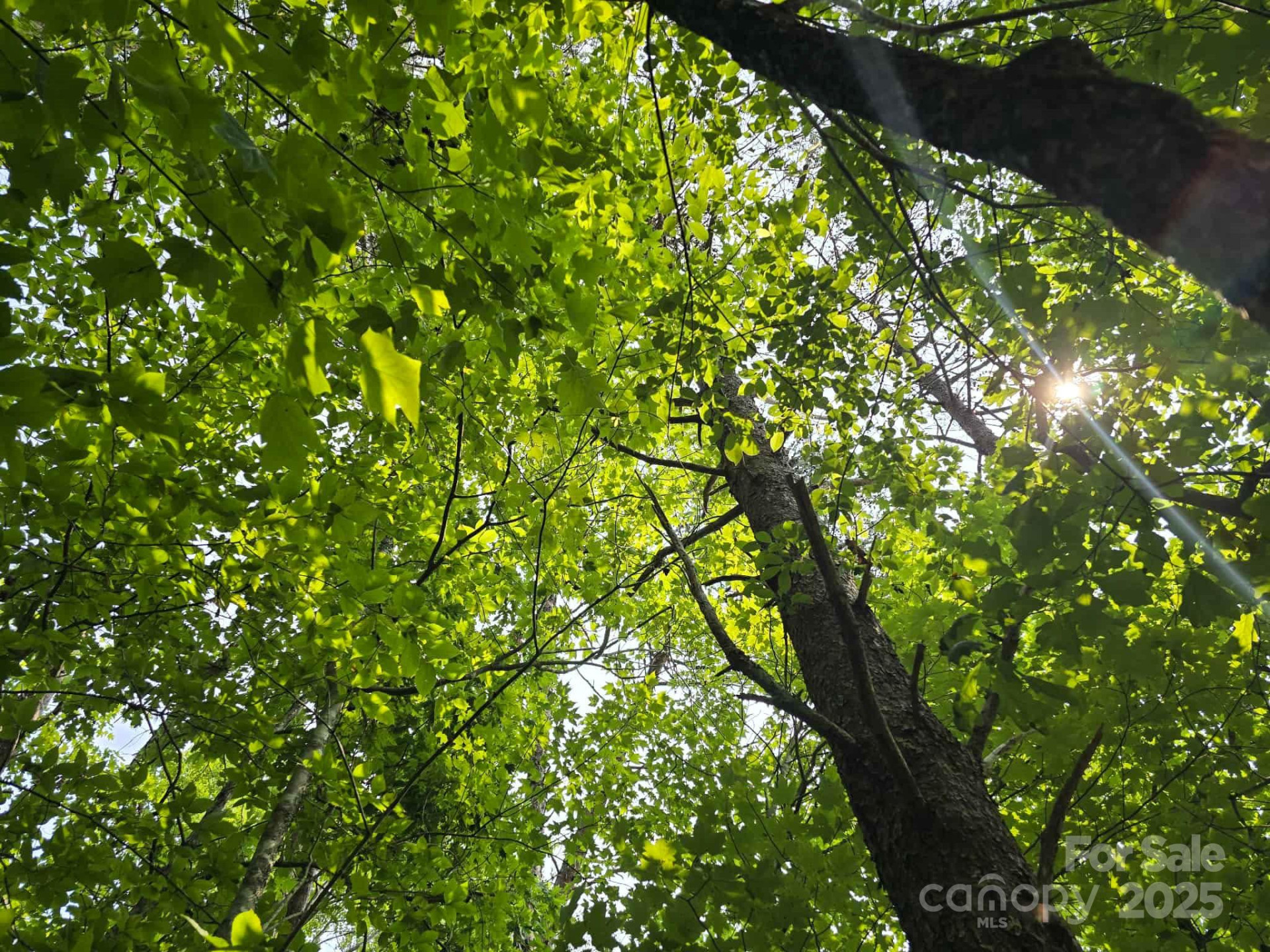 Lot 26 Grandview Drive #26 - Photo 7