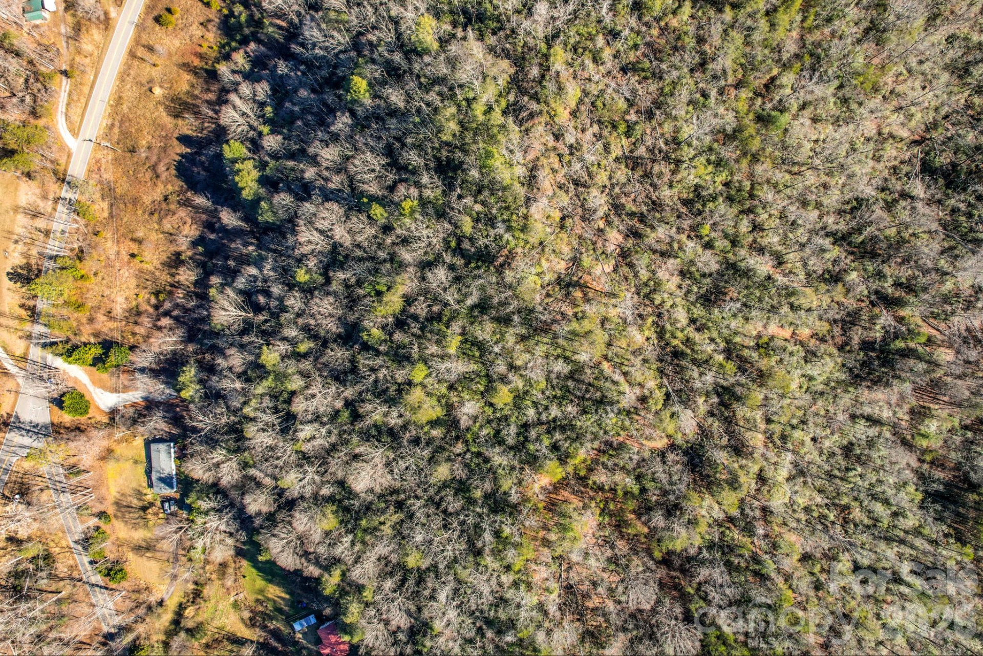 4013 Bethlehem Road - Photo 8