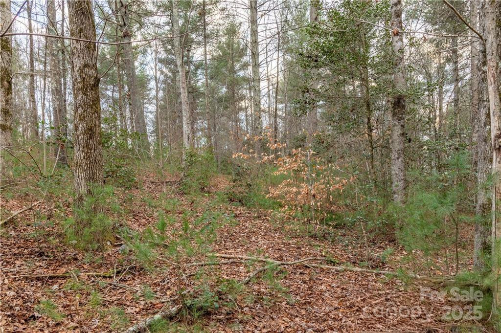 1209 Lakeside Way #6