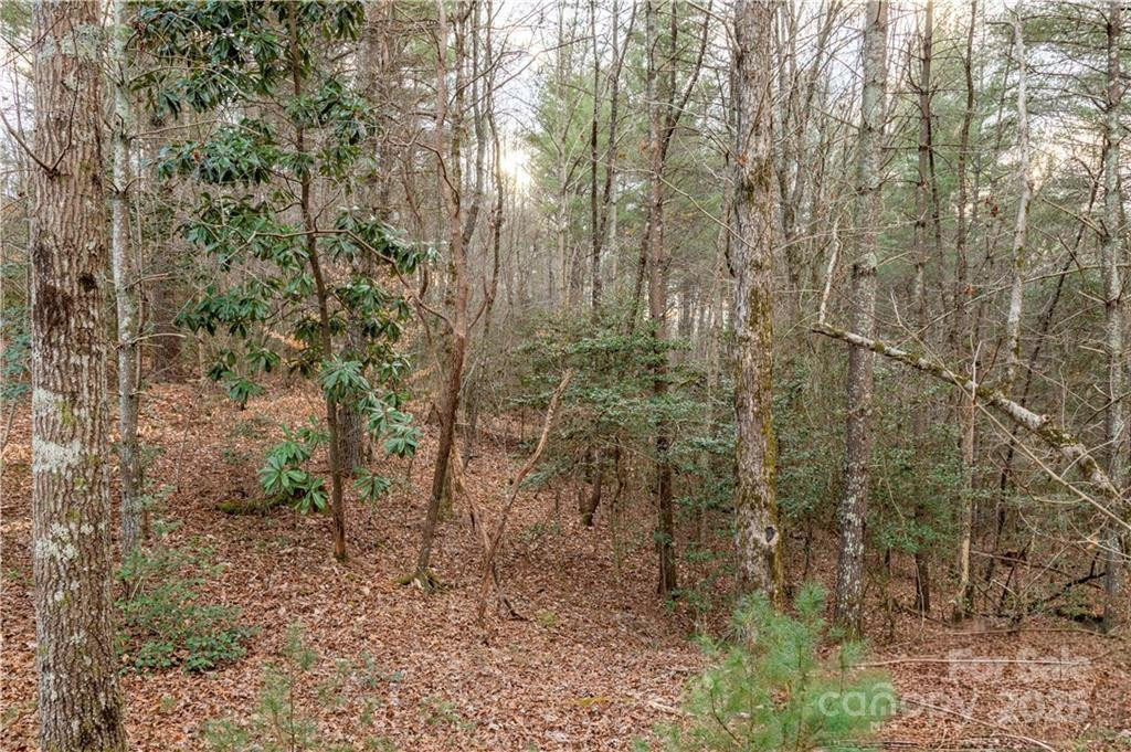 1209 Lakeside Way #6 - Photo 4