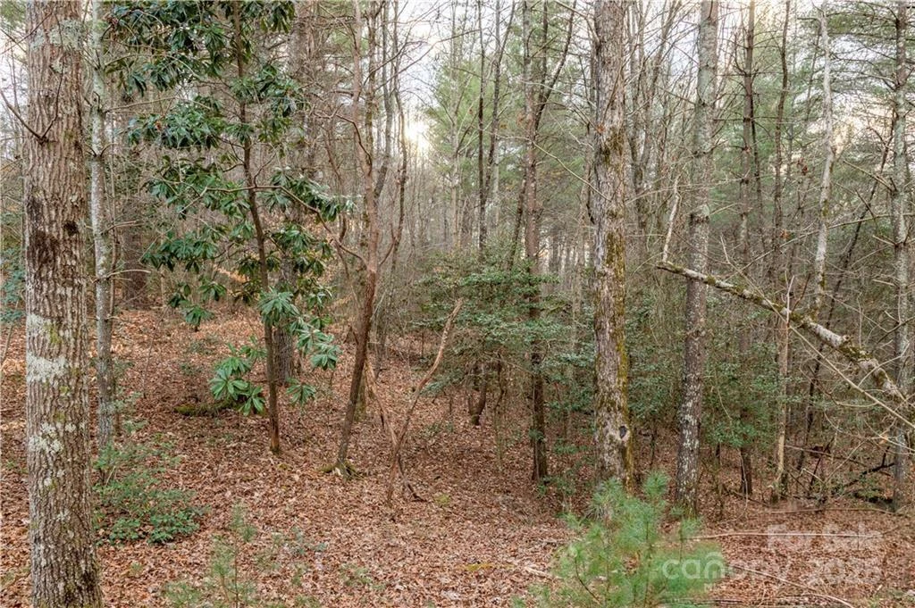 1209 Lakeside Way #6 - Photo 4