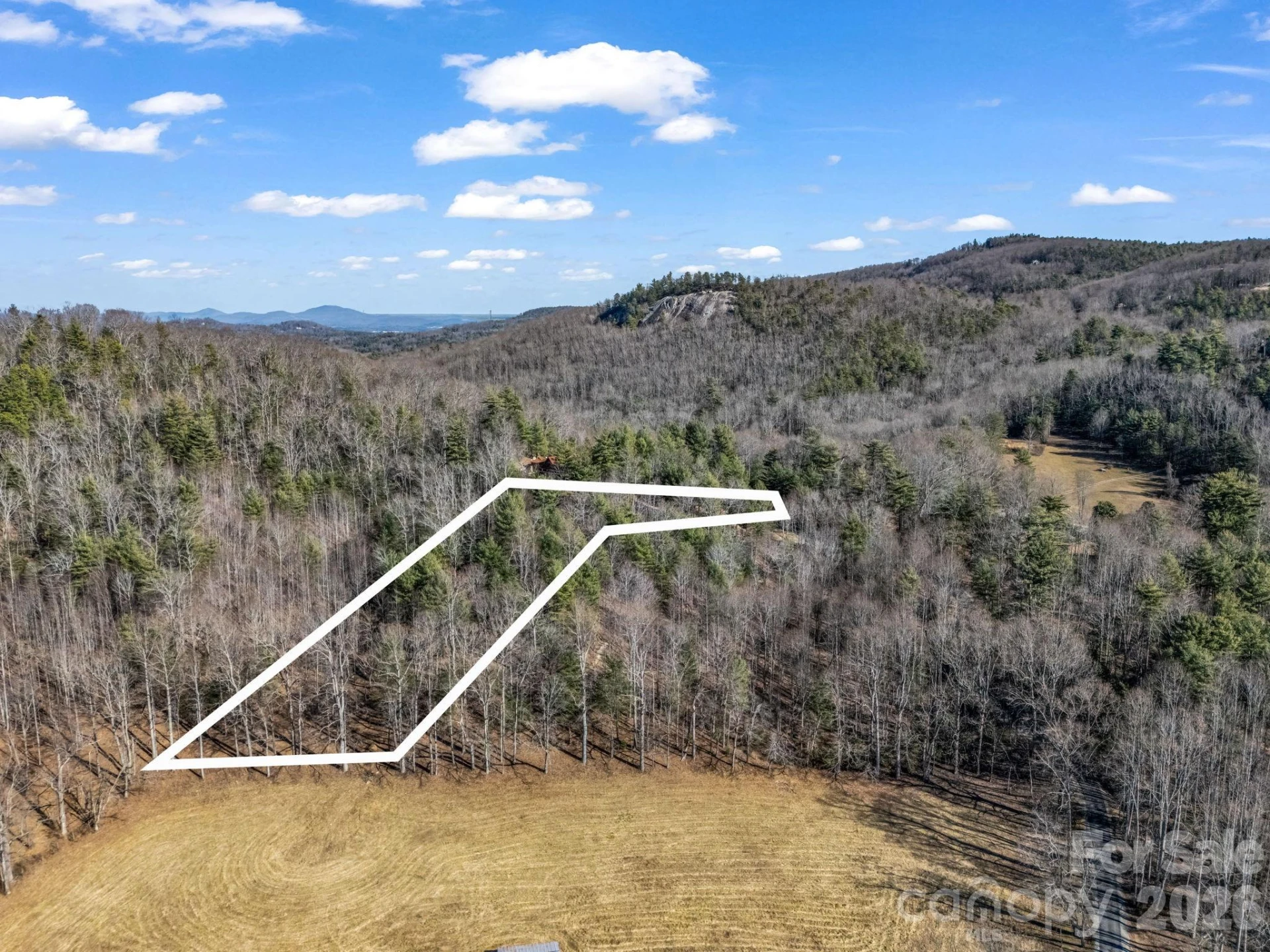 109 Justamere Lane - Photo 13