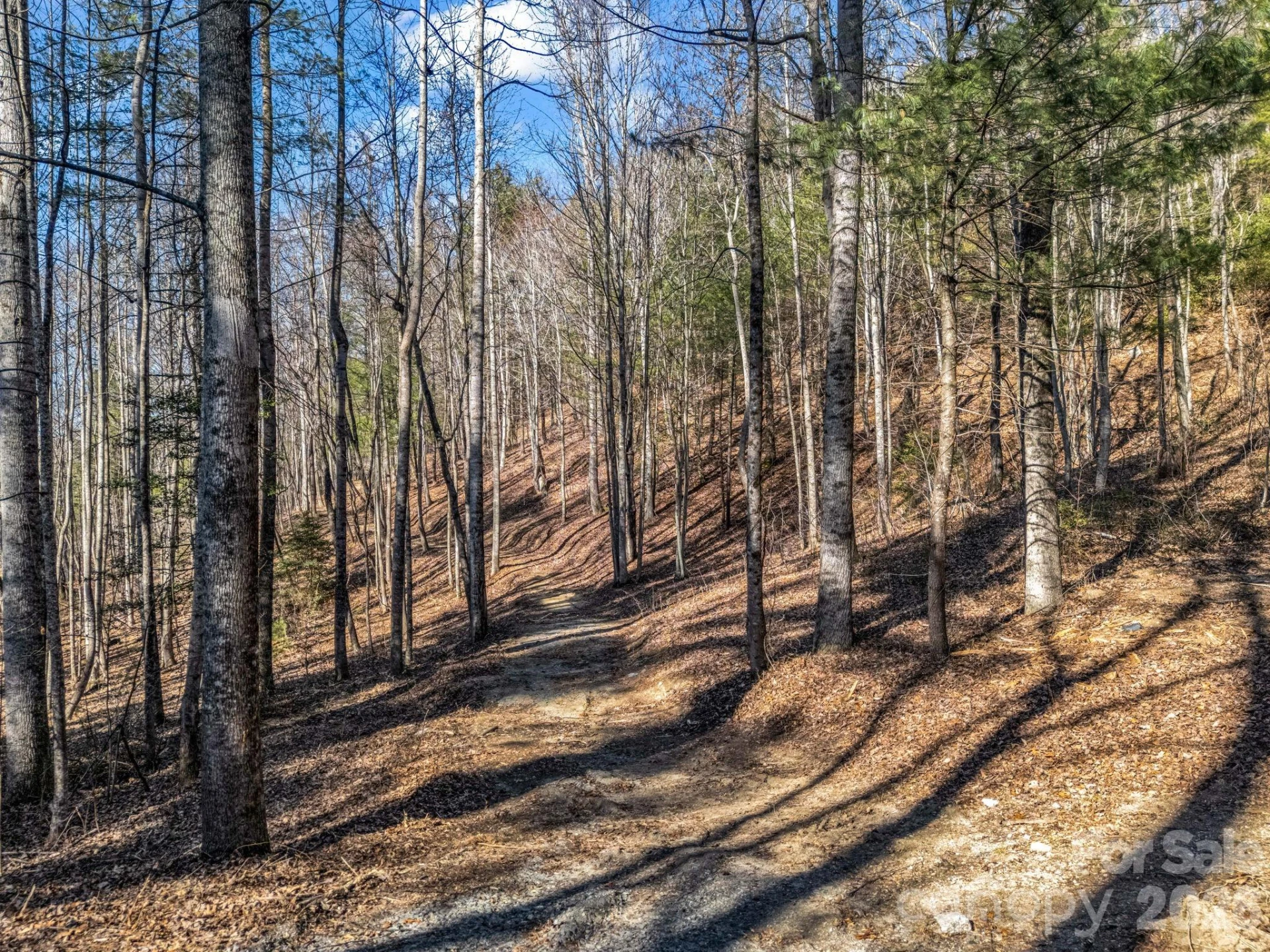 109 Justamere Lane - Photo 3