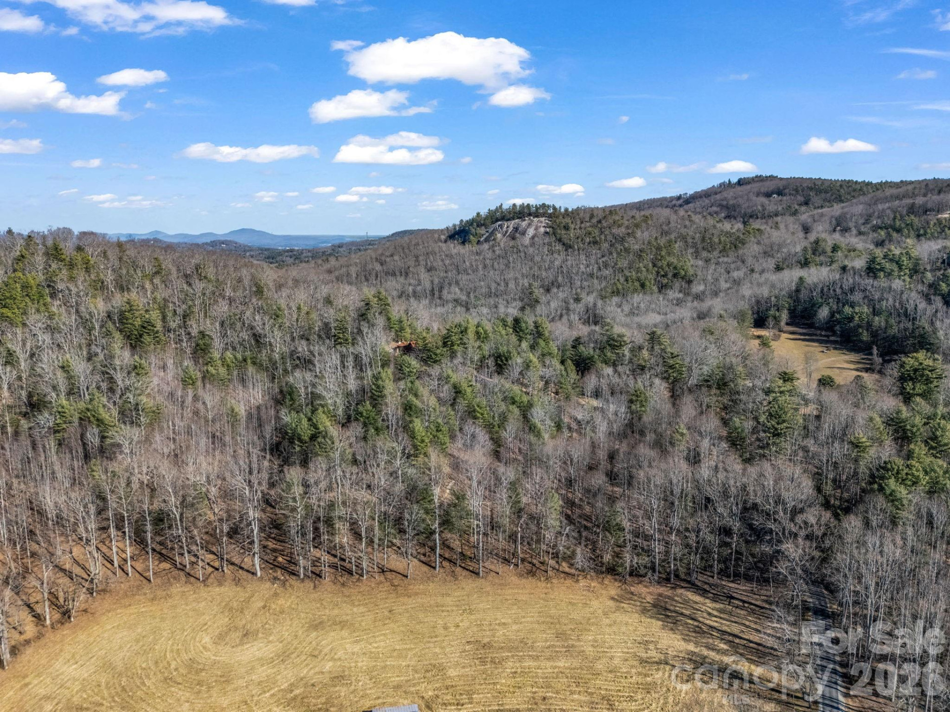109 Justamere Lane - Photo 5