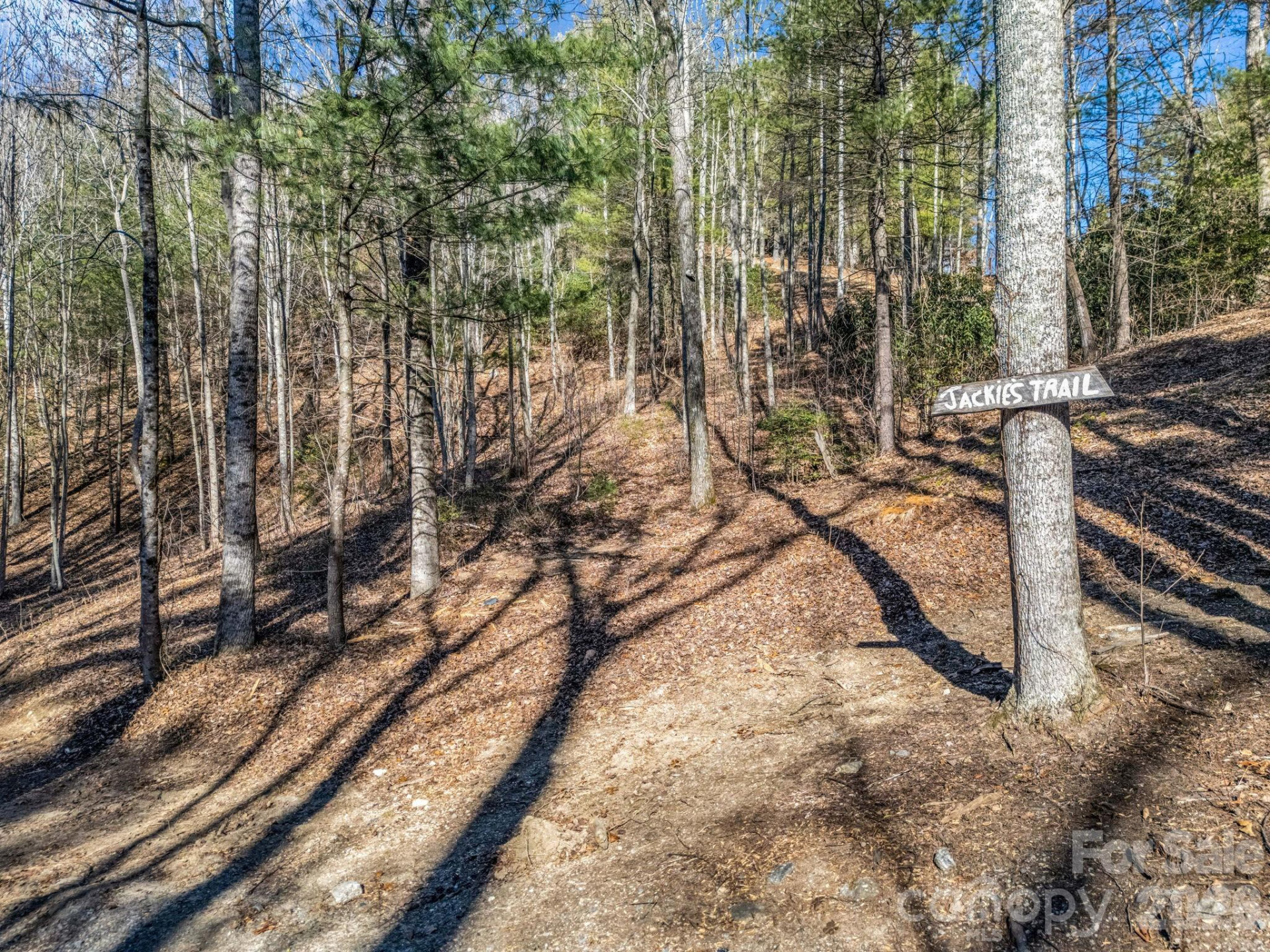 109 Justamere Lane - Photo 7
