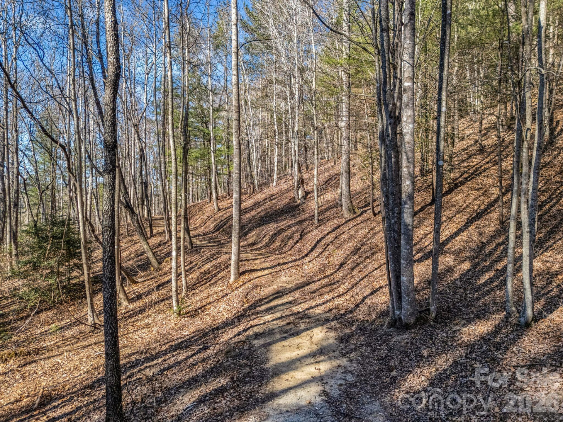109 Justamere Lane - Photo 10