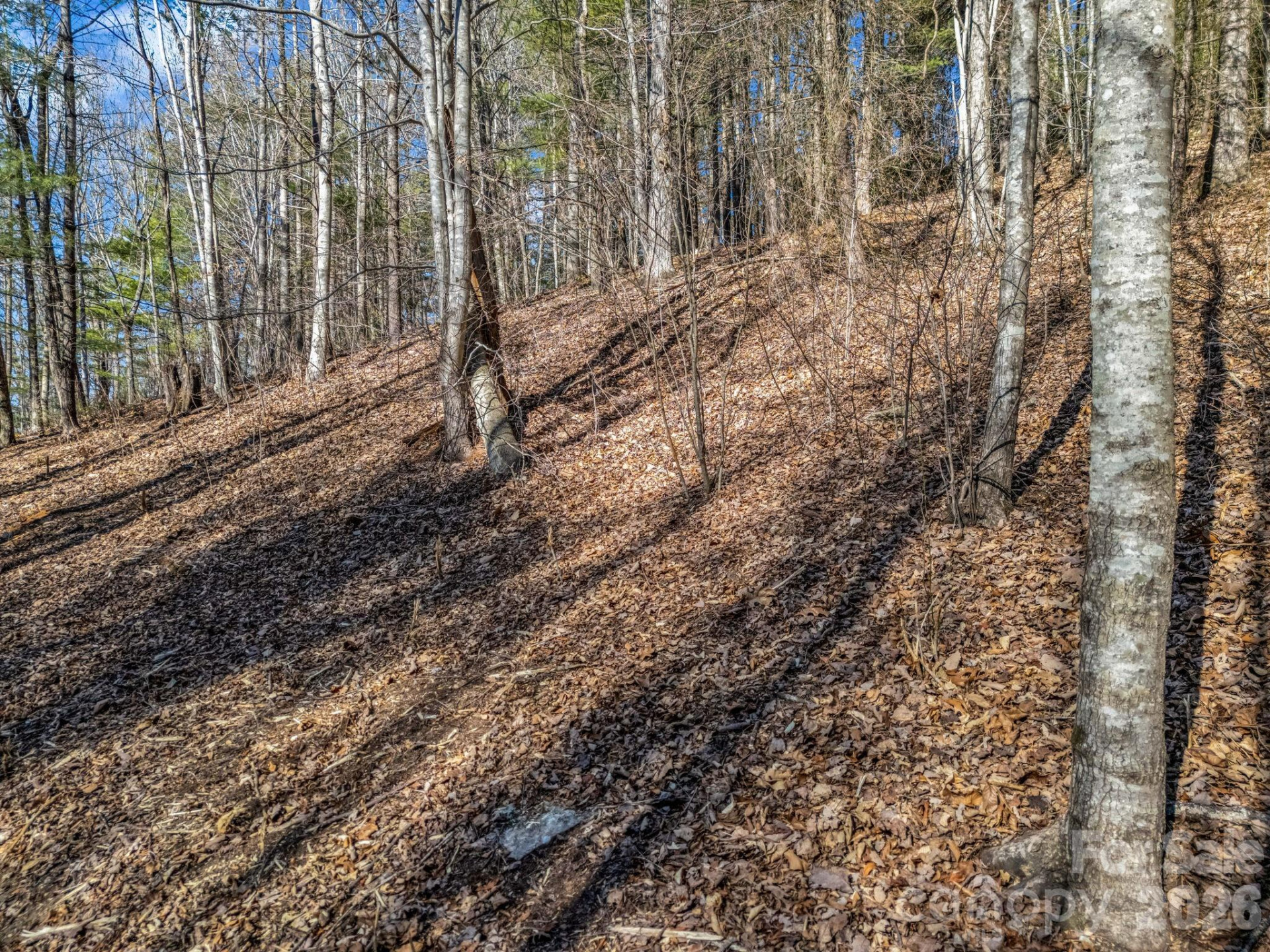 171 Justamere Lane - Photo 11