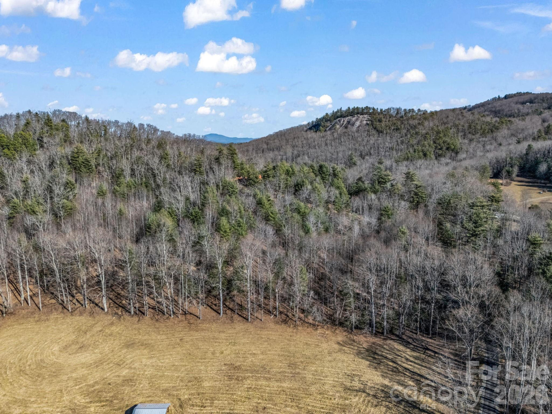 171 Justamere Lane - Photo 3