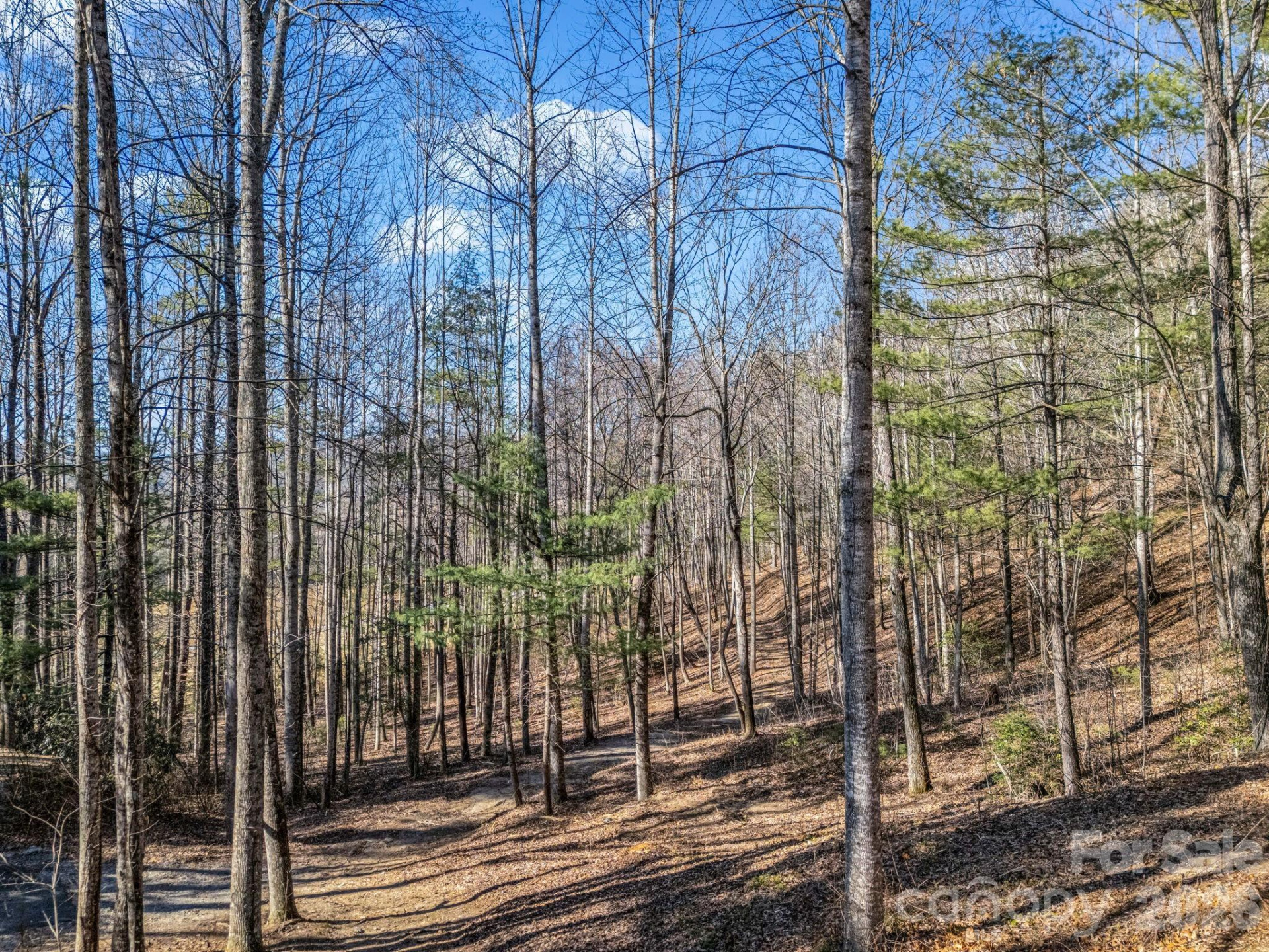 171 Justamere Lane - Photo 6