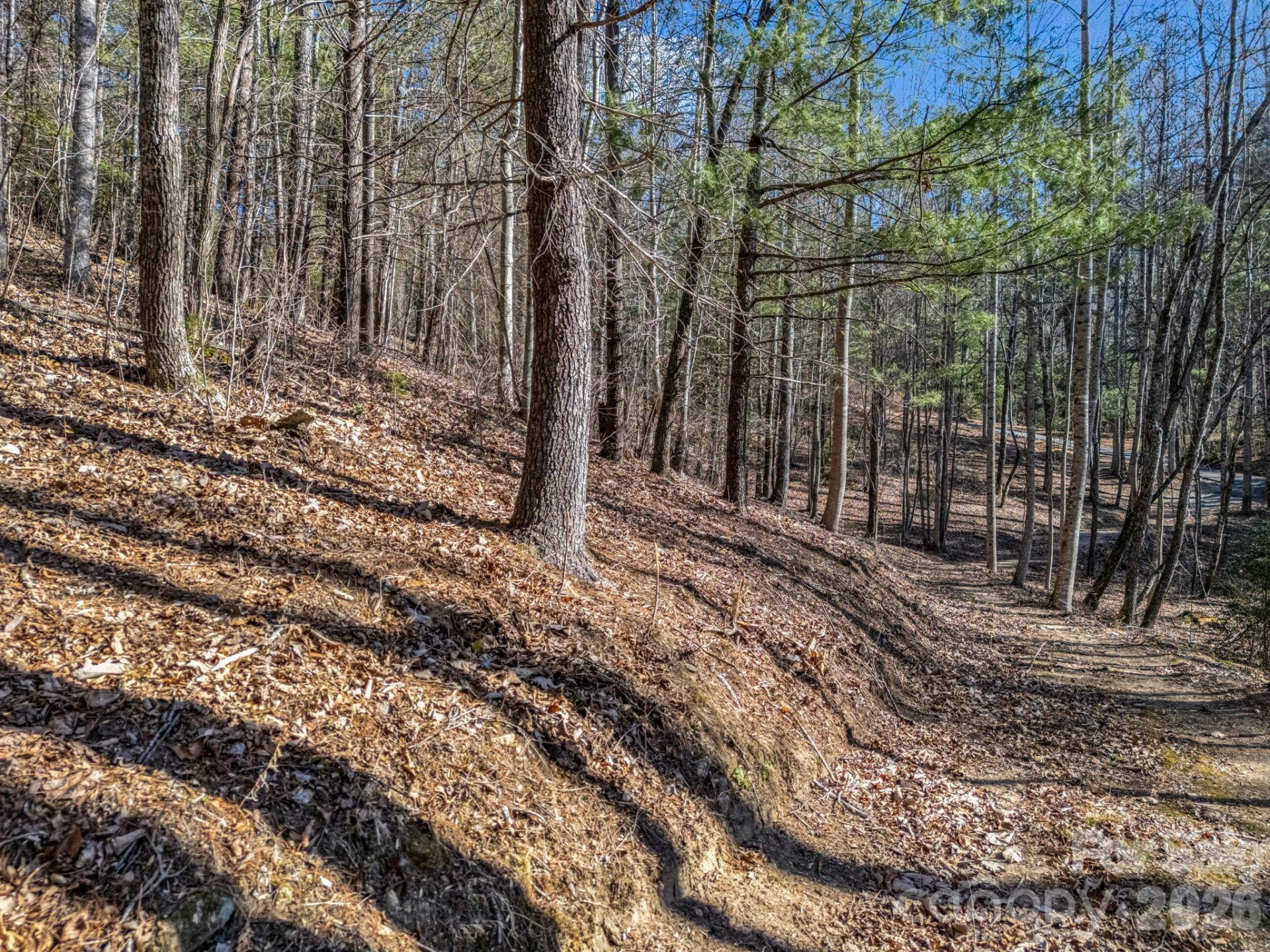 171 Justamere Lane - Photo 8