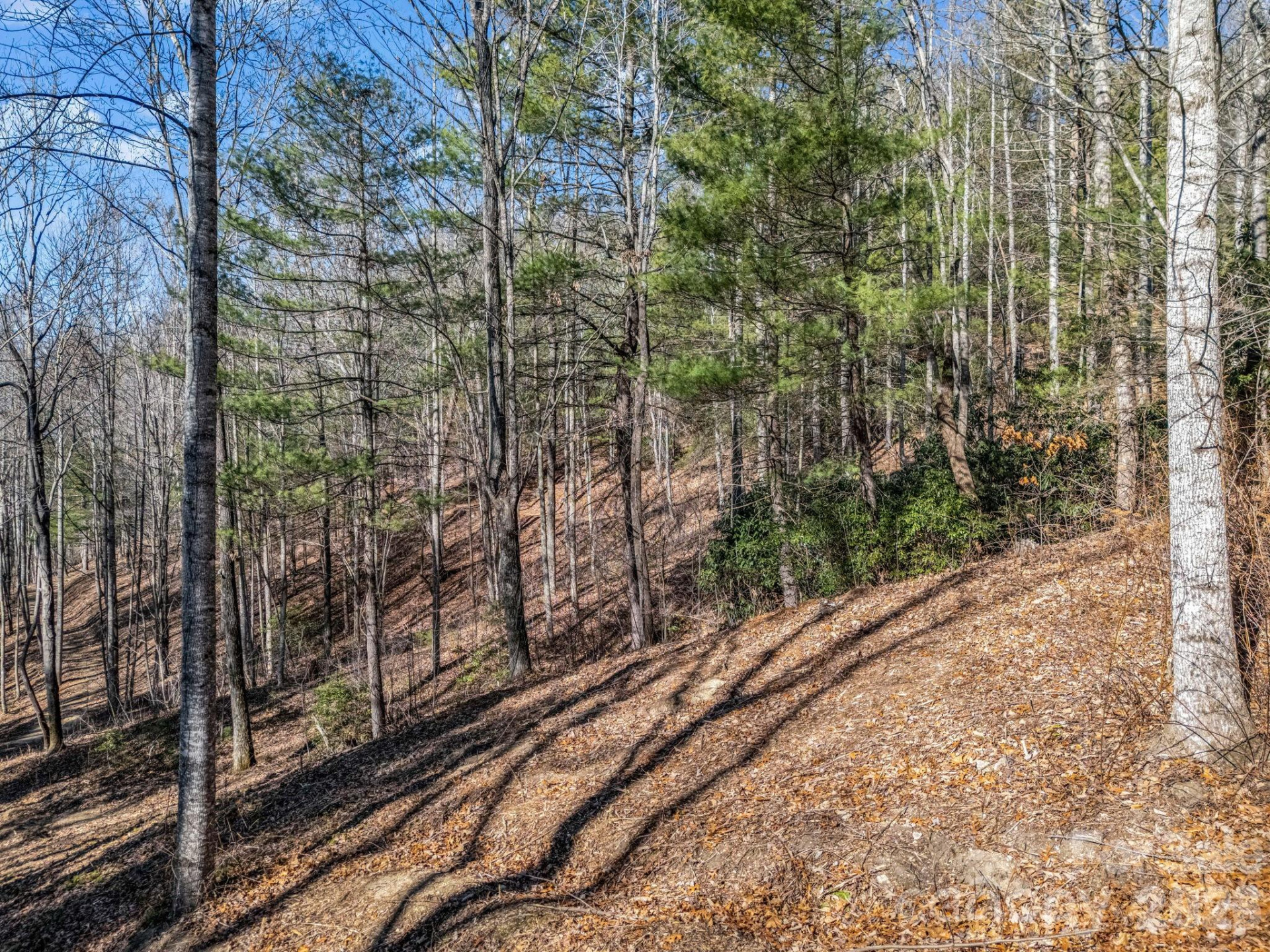 181 Justamere Lane - Photo 11