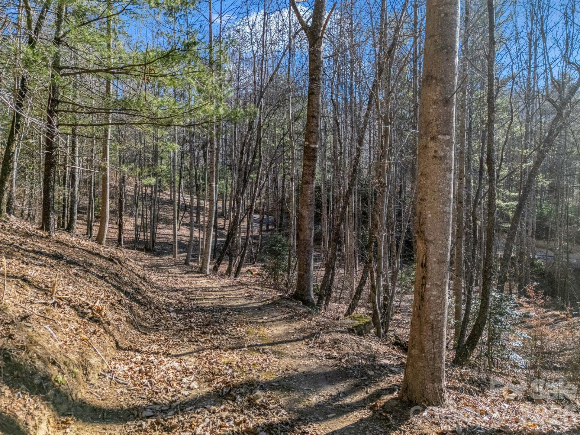 181 Justamere Lane - Photo 13