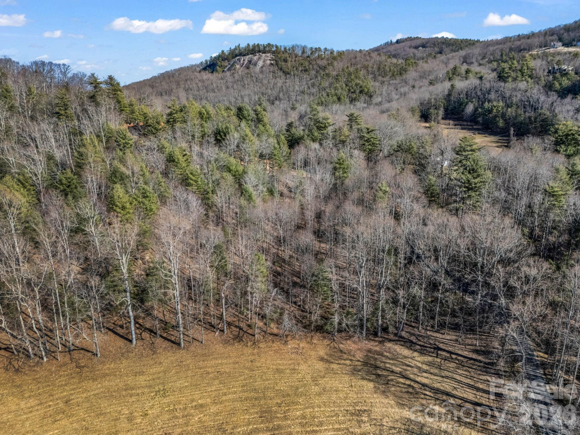 181 Justamere Lane - Photo 17