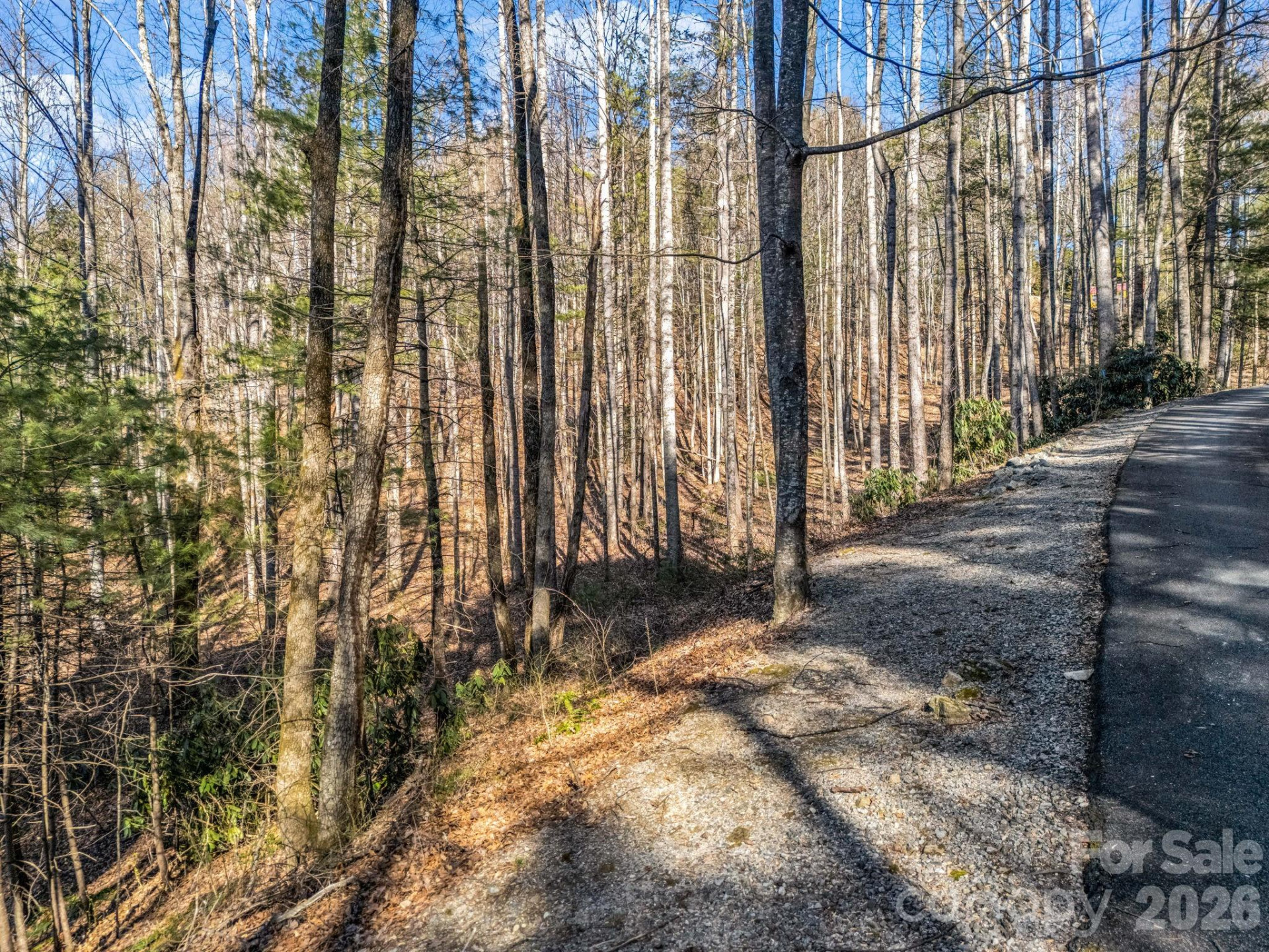 181 Justamere Lane - Photo 6