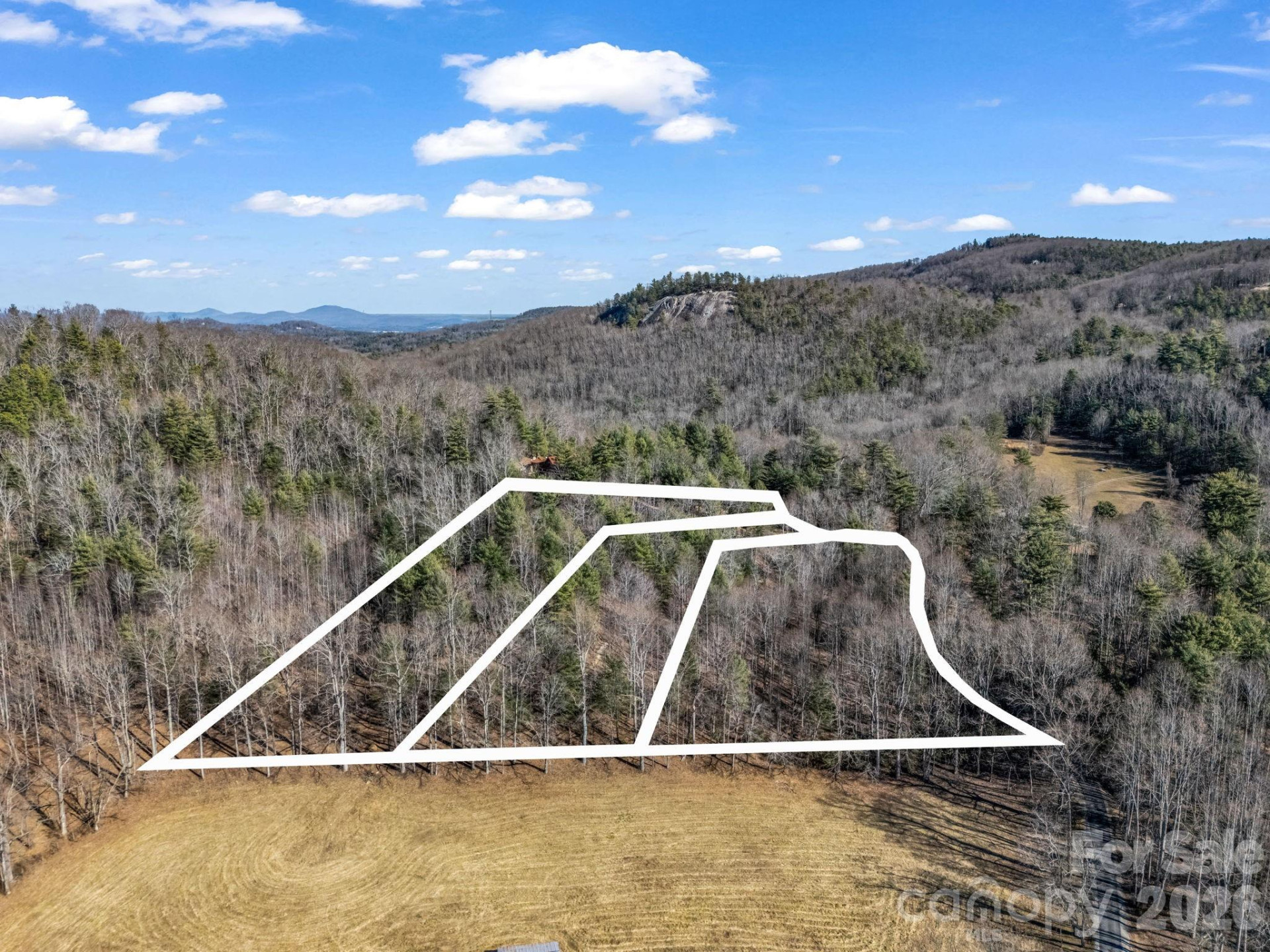 181 Justamere Lane - Photo 7