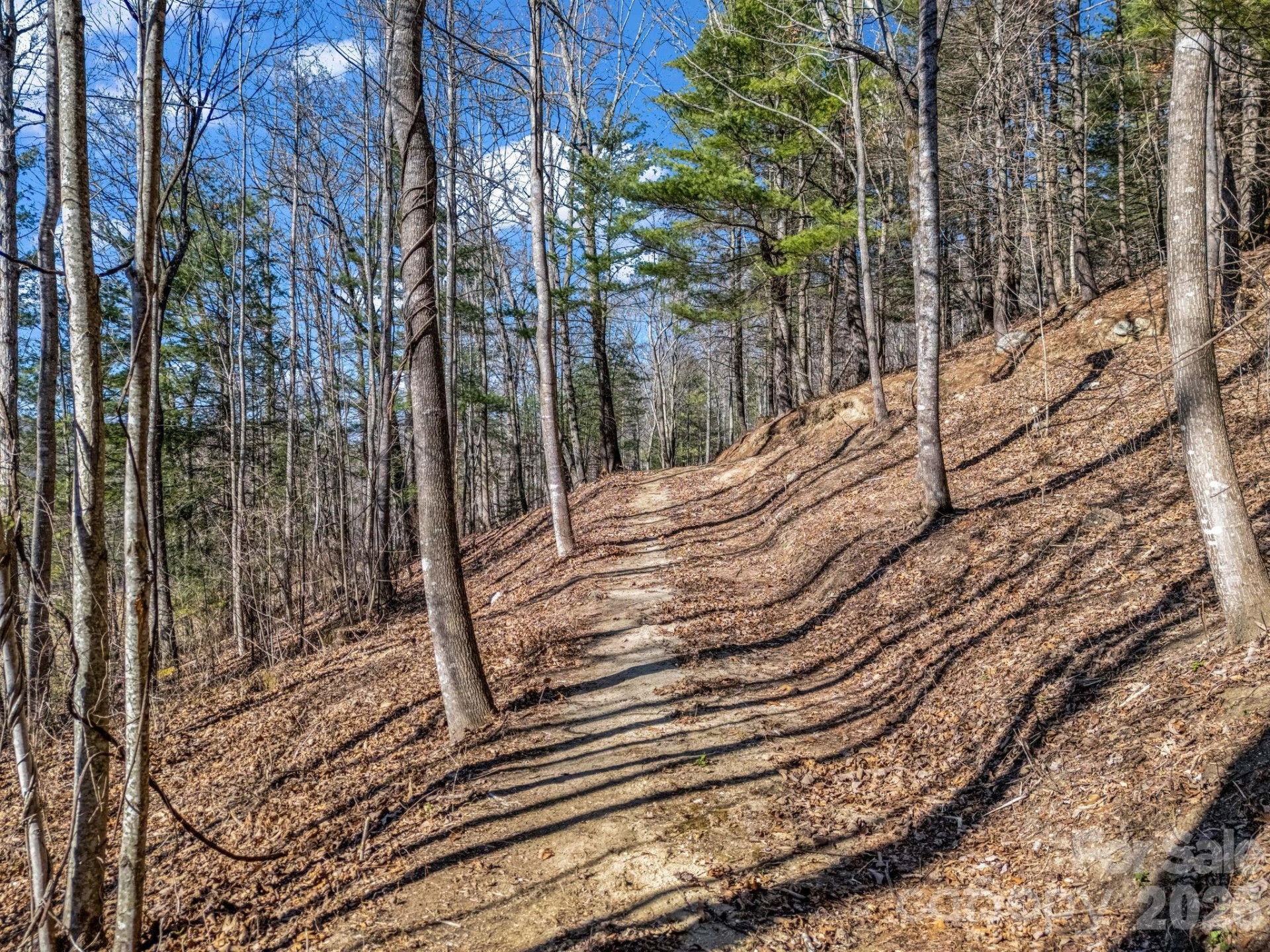 181 Justamere Lane - Photo 9