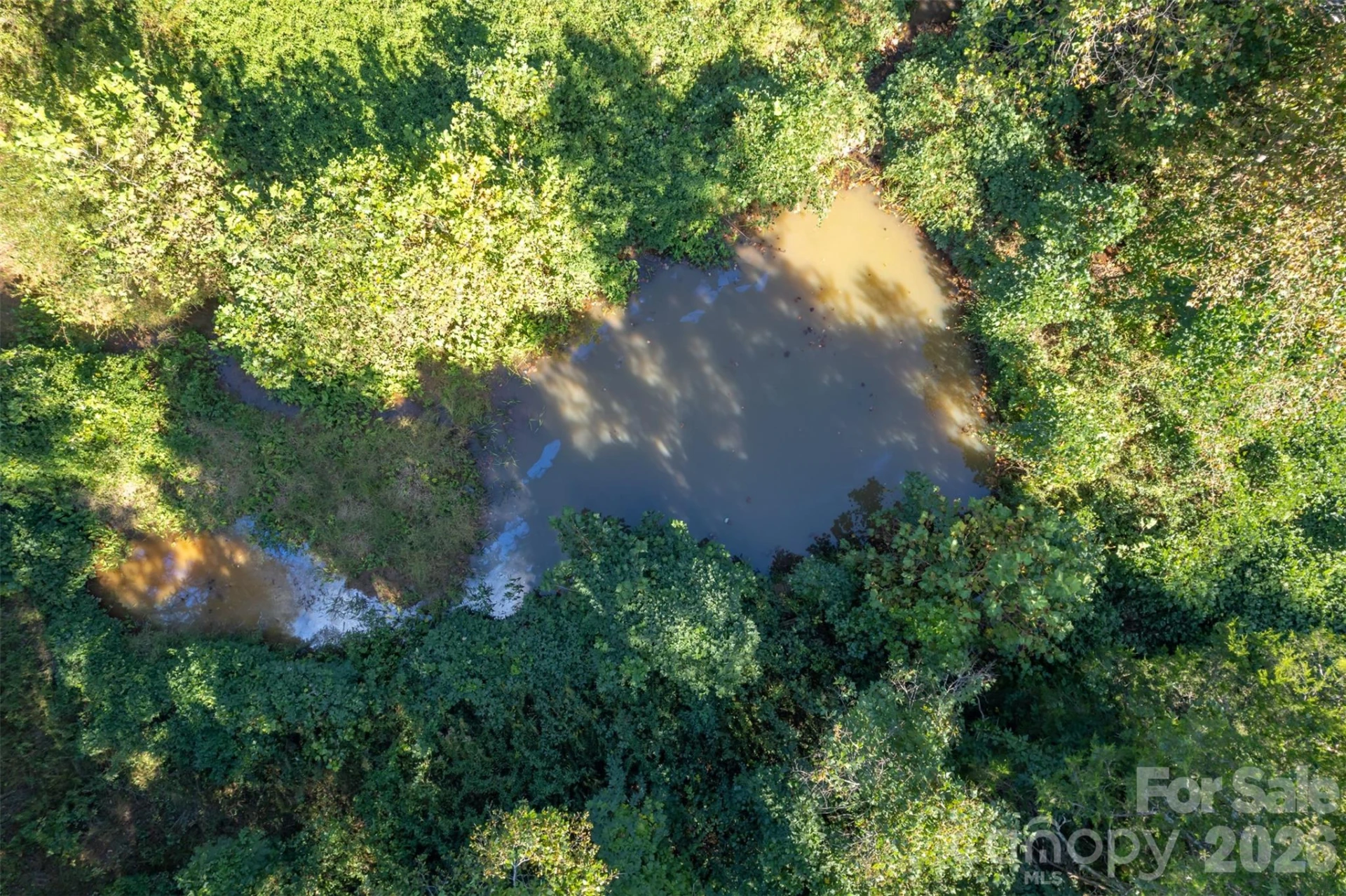 351 Waters Road - Photo 4