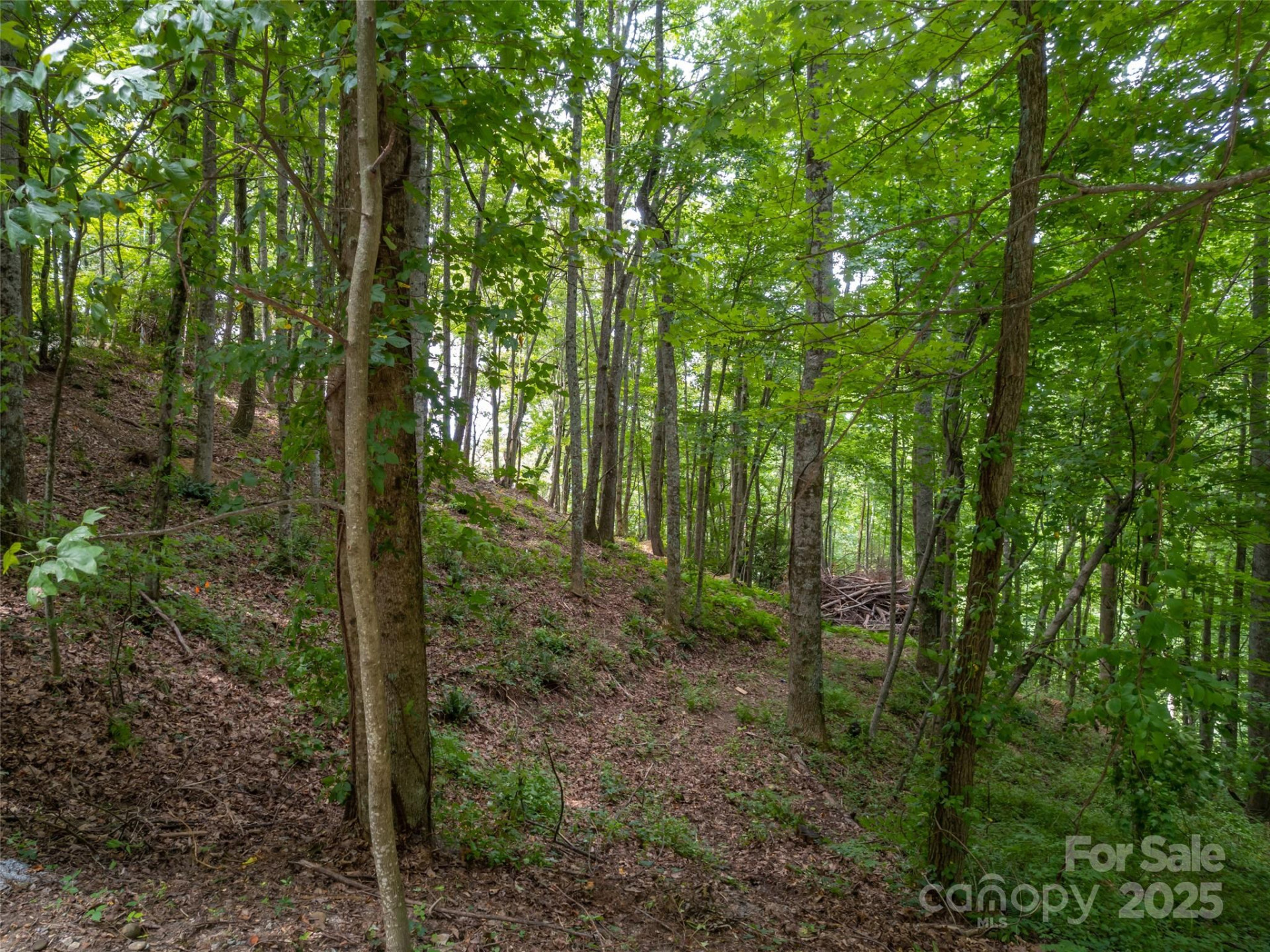 20 Highland Point Drive - Photo 2