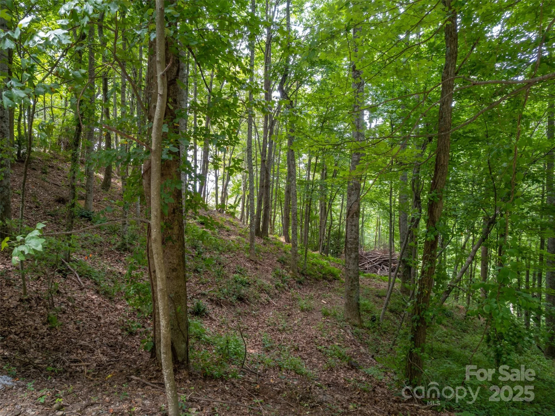 20 Highland Point Drive - Photo 2