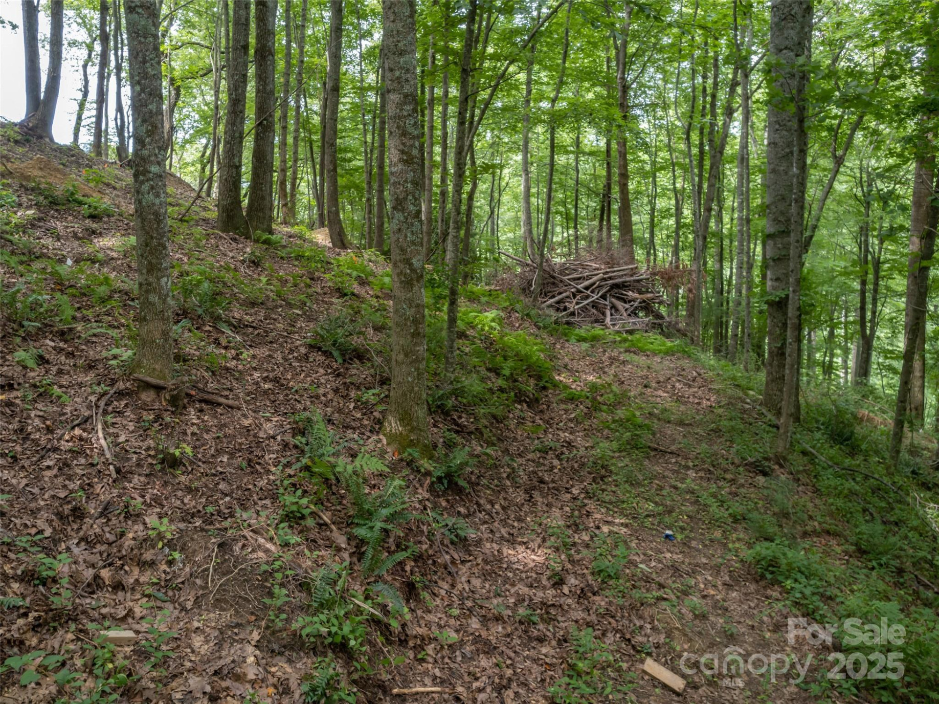 20 Highland Point Drive - Photo 3