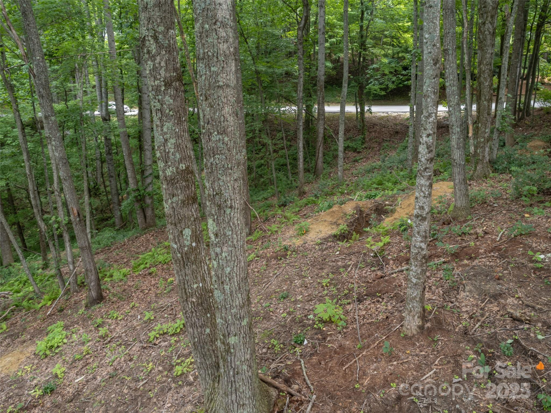 20 Highland Point Drive - Photo 10