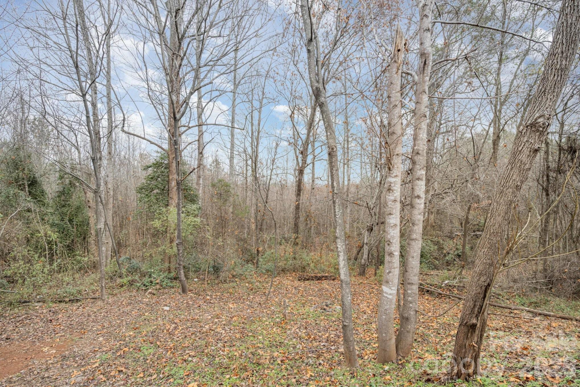 142 Winchester Drive - Photo 17