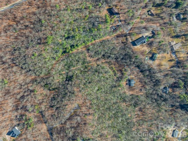 9999 Coy-Evie Lane, Laurel Park, NC, 28739