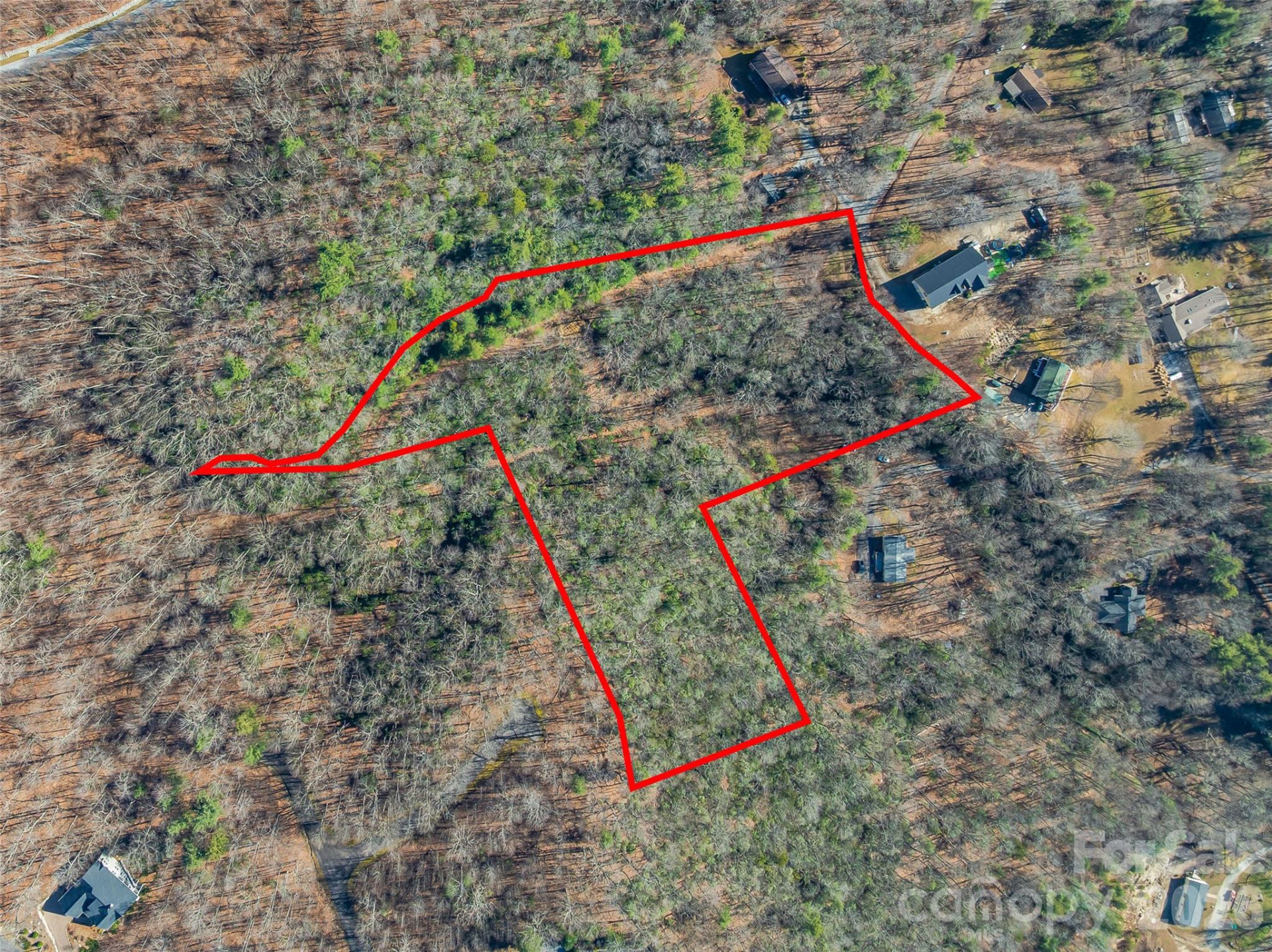 9999 Coy-Evie Lane - Photo 2