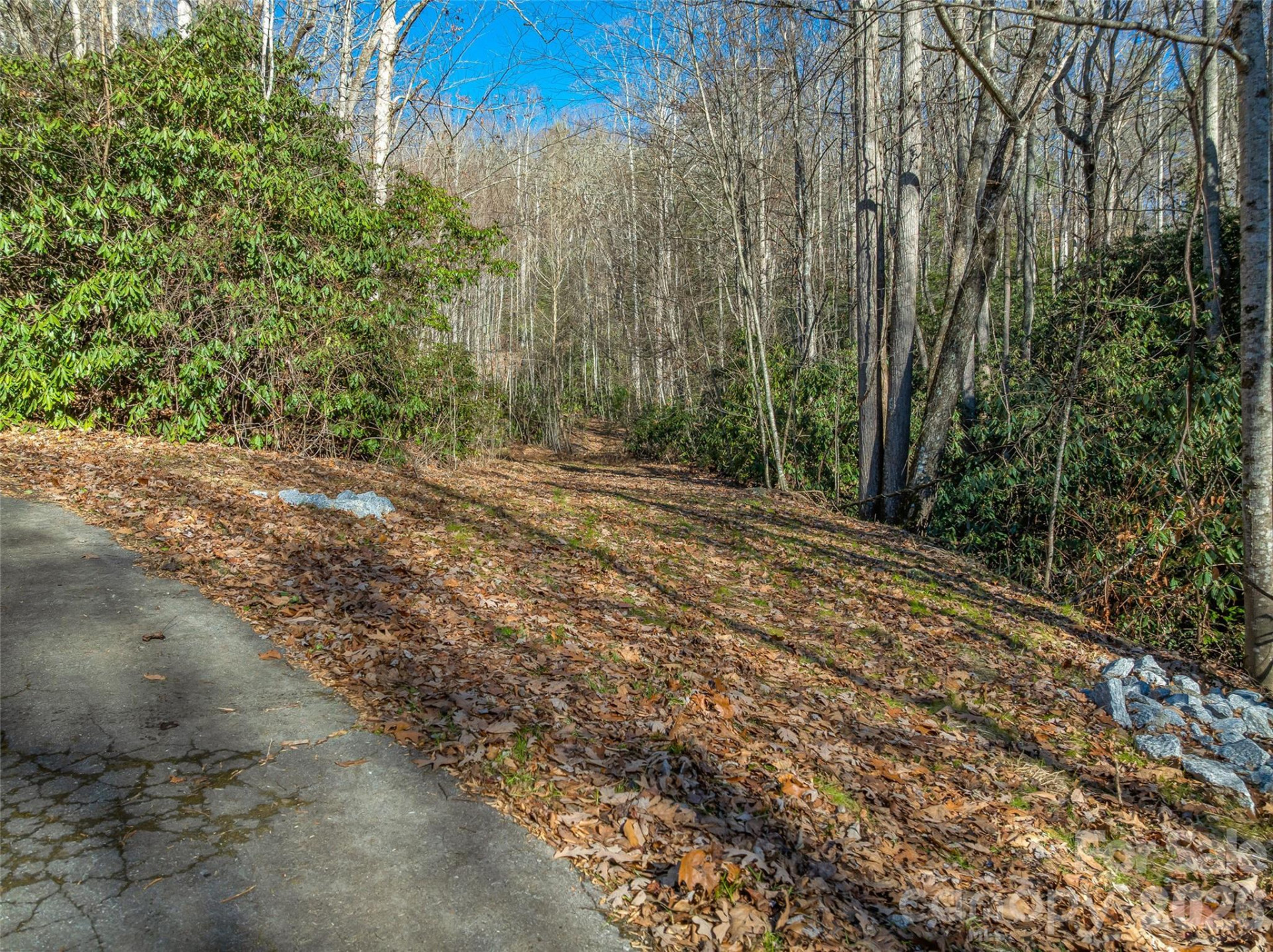 9999 Coy-Evie Lane - Photo 12