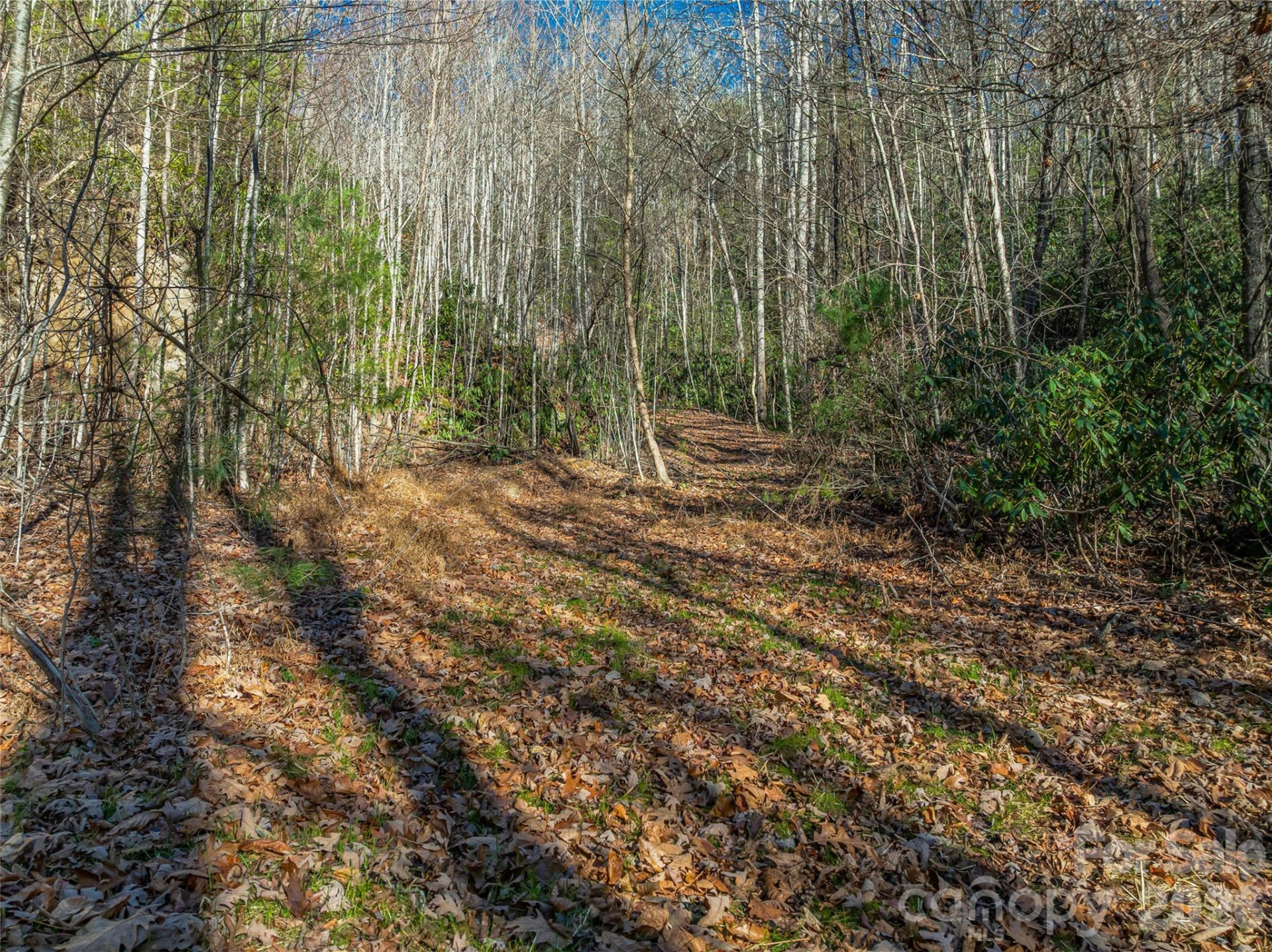 9999 Coy-Evie Lane - Photo 5