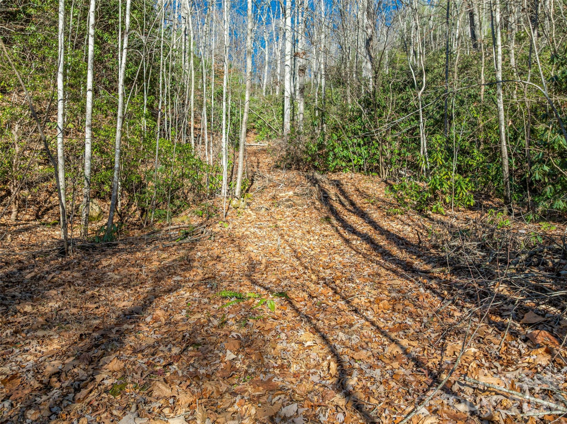 9999 Coy-Evie Lane - Photo 6