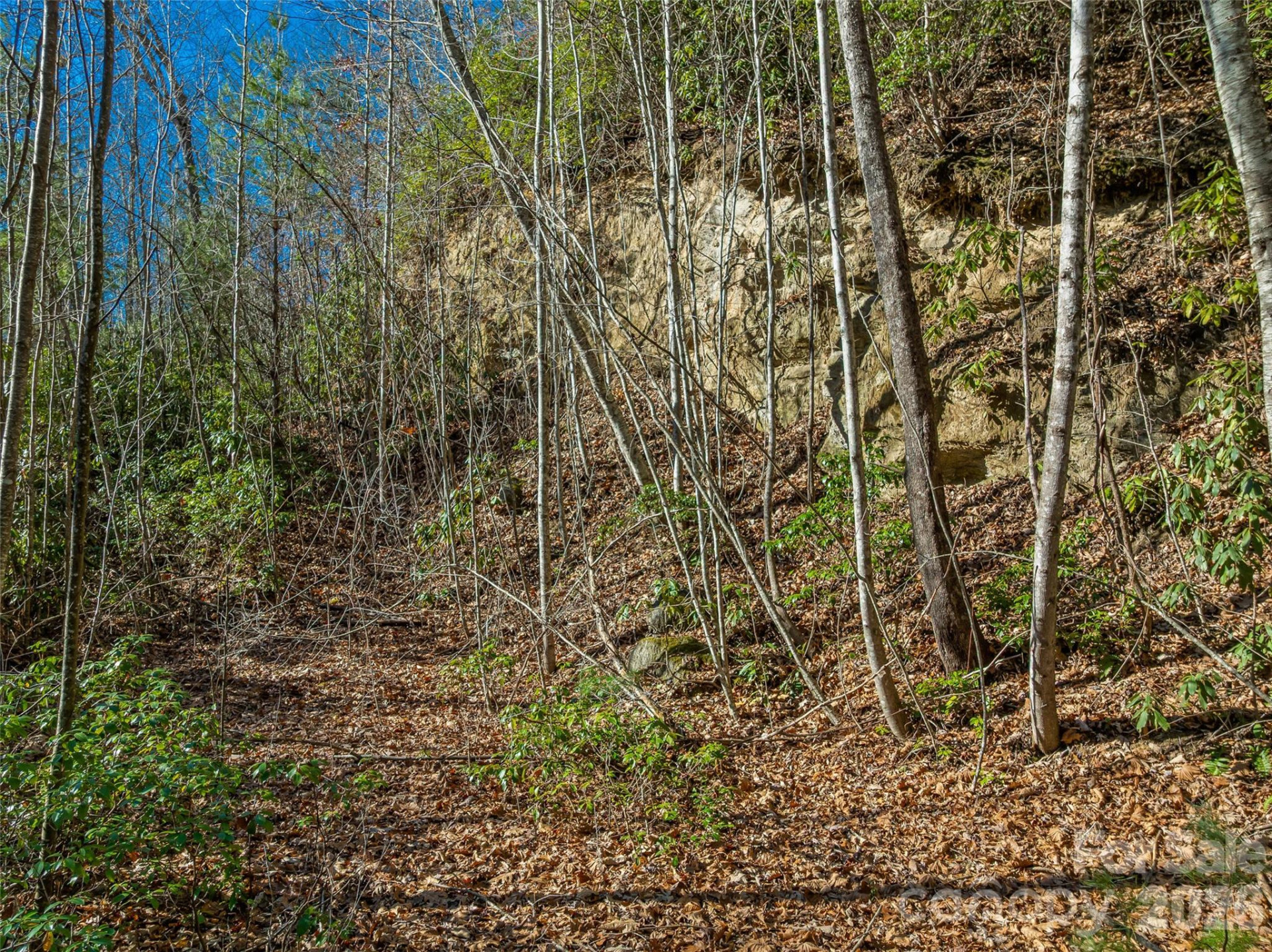 9999 Coy-Evie Lane - Photo 7